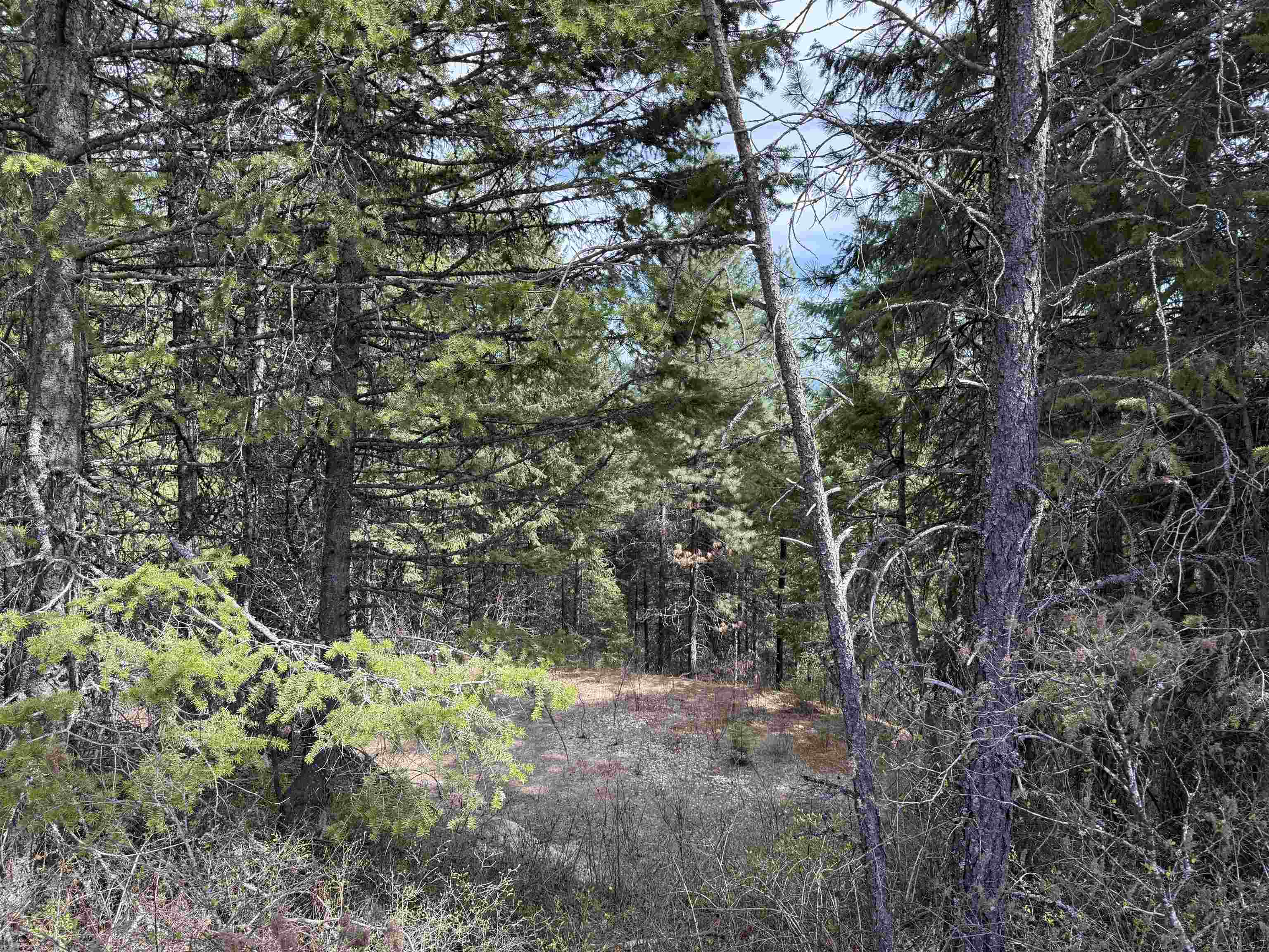 NNA Buck Creek Rd - Photo 15