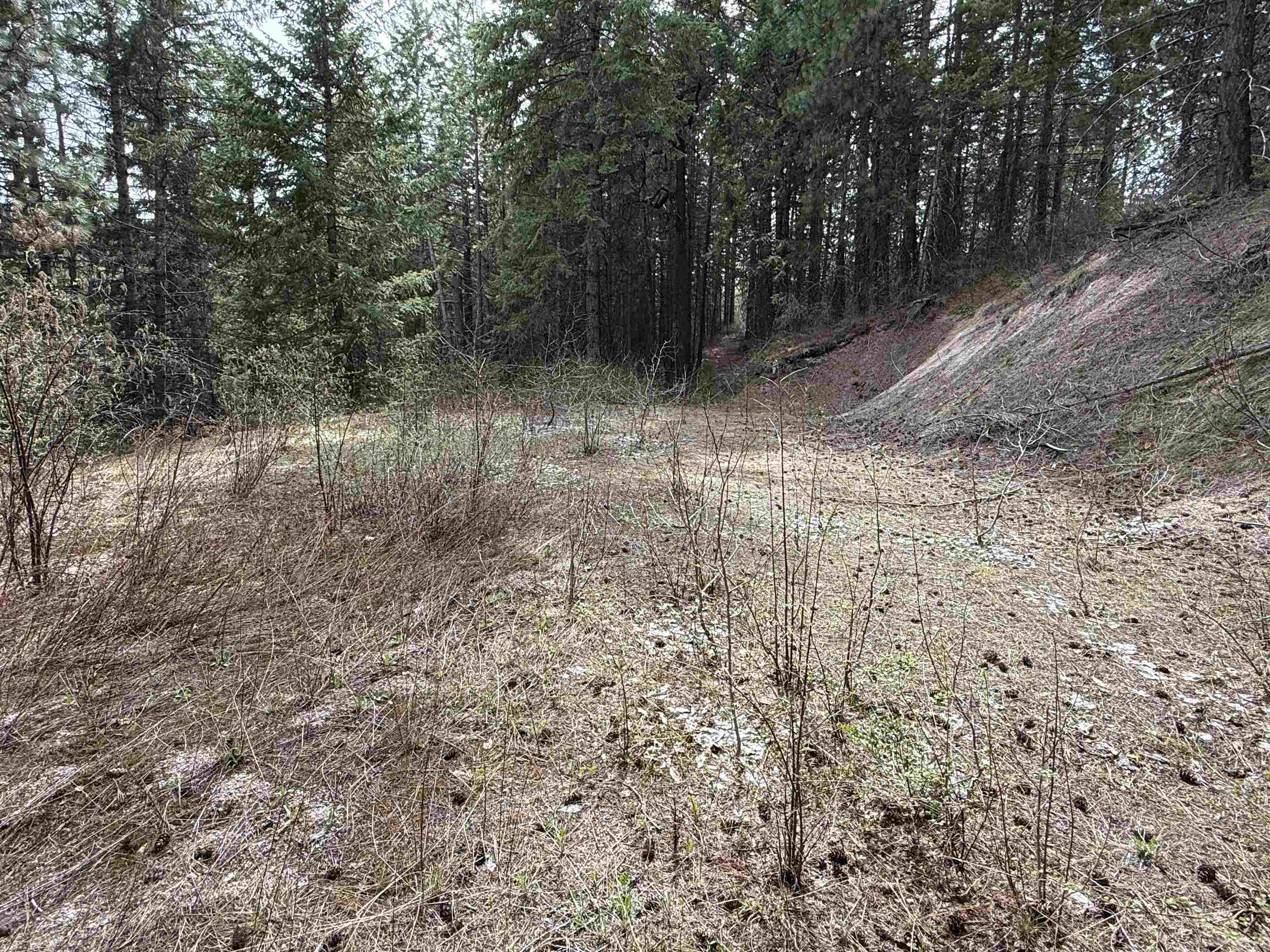 NNA Buck Creek Rd - Photo 16