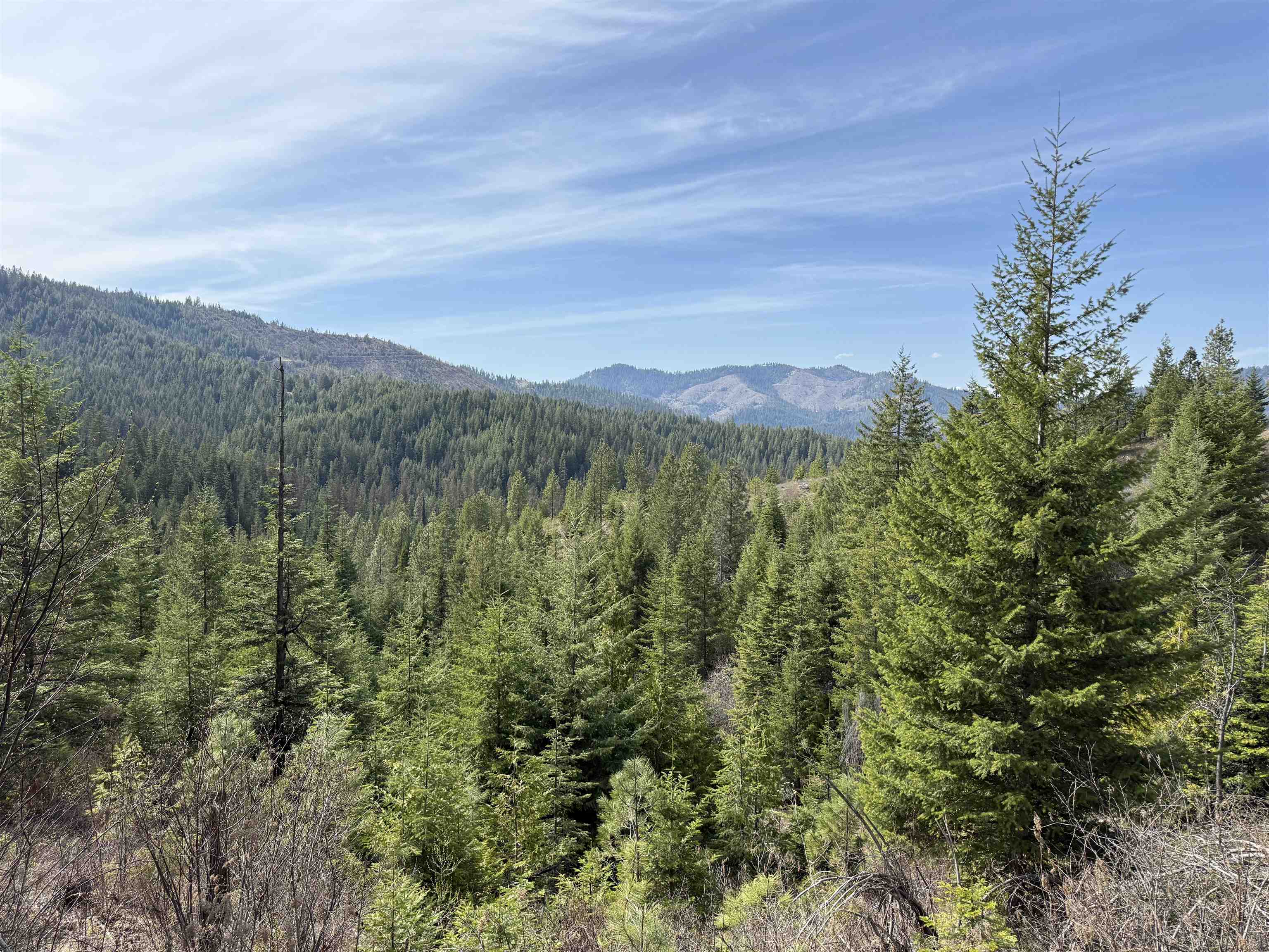 NNA Buck Creek Rd - Photo 11