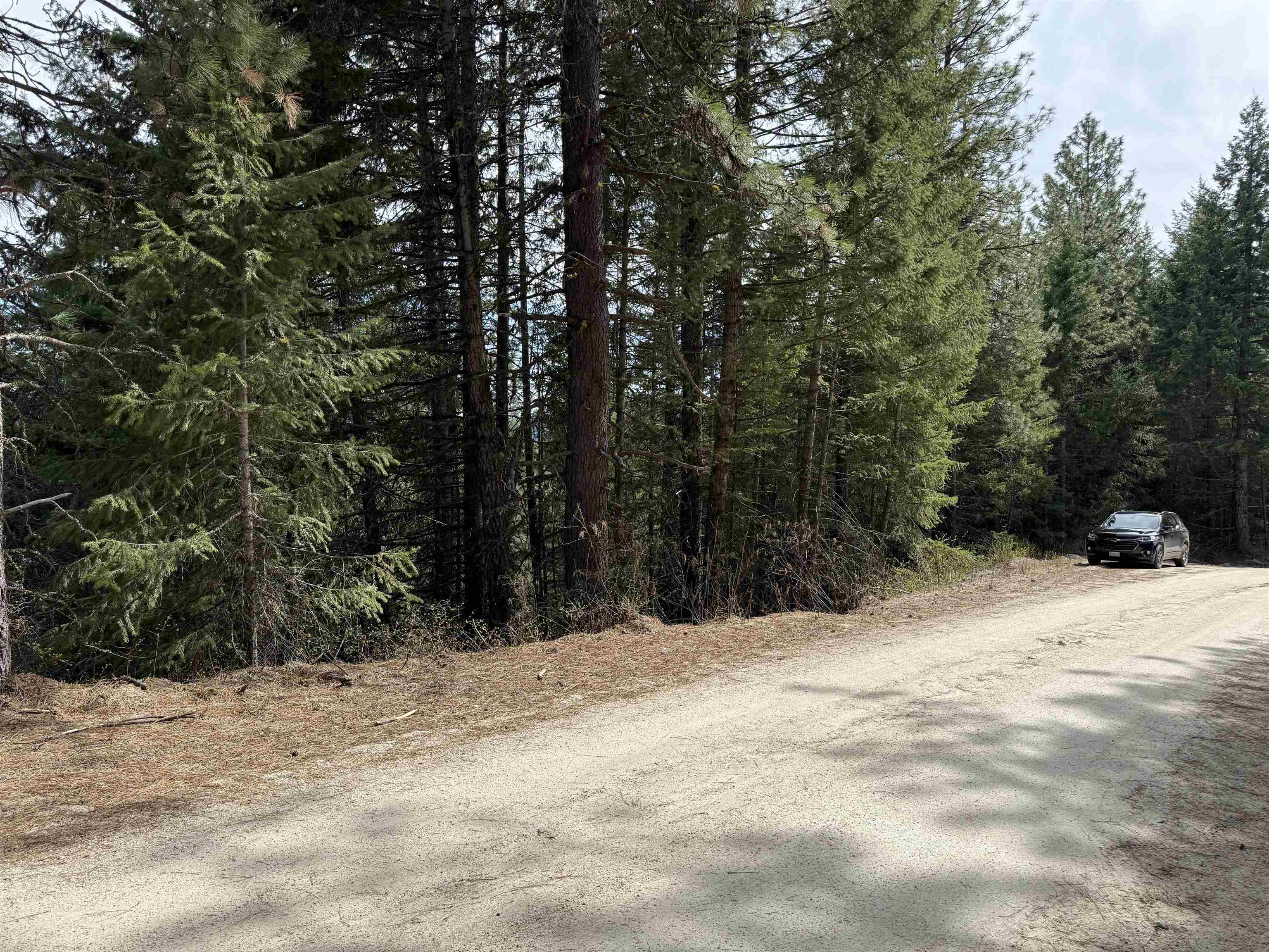 NNA Buck Creek Rd - Photo 8