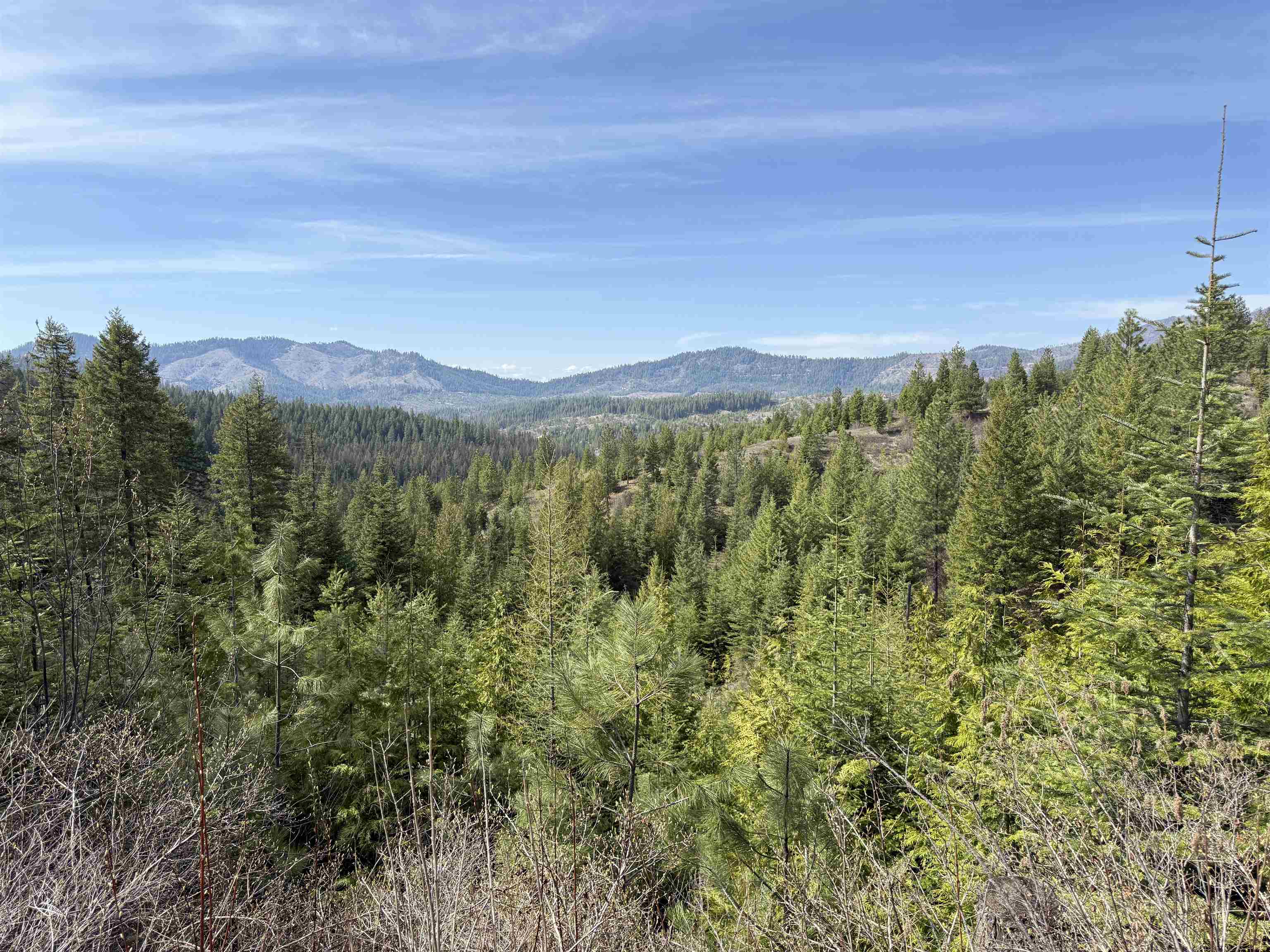 NNA Buck Creek Rd - Photo 12
