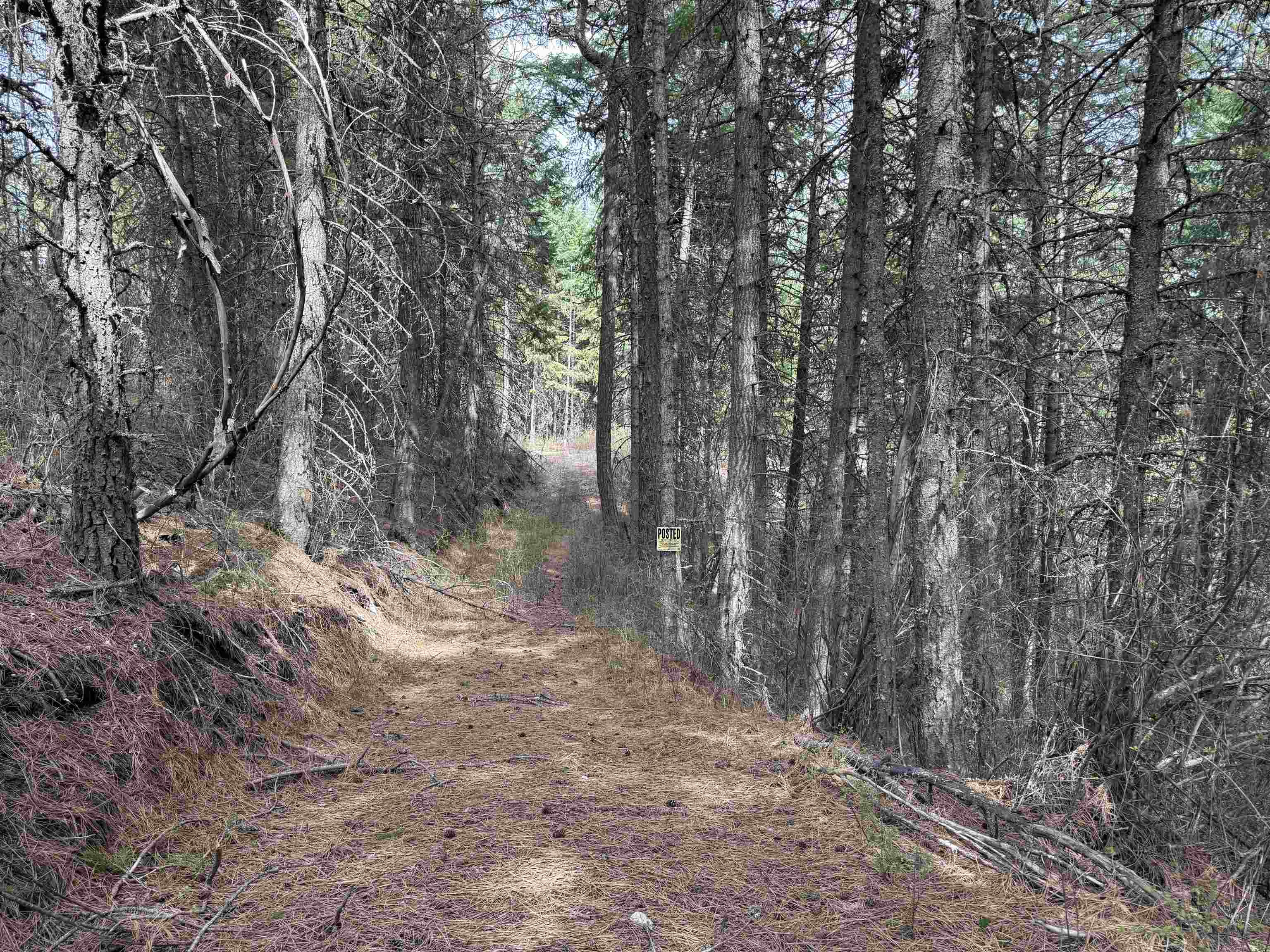 NNA Buck Creek Rd - Photo 7