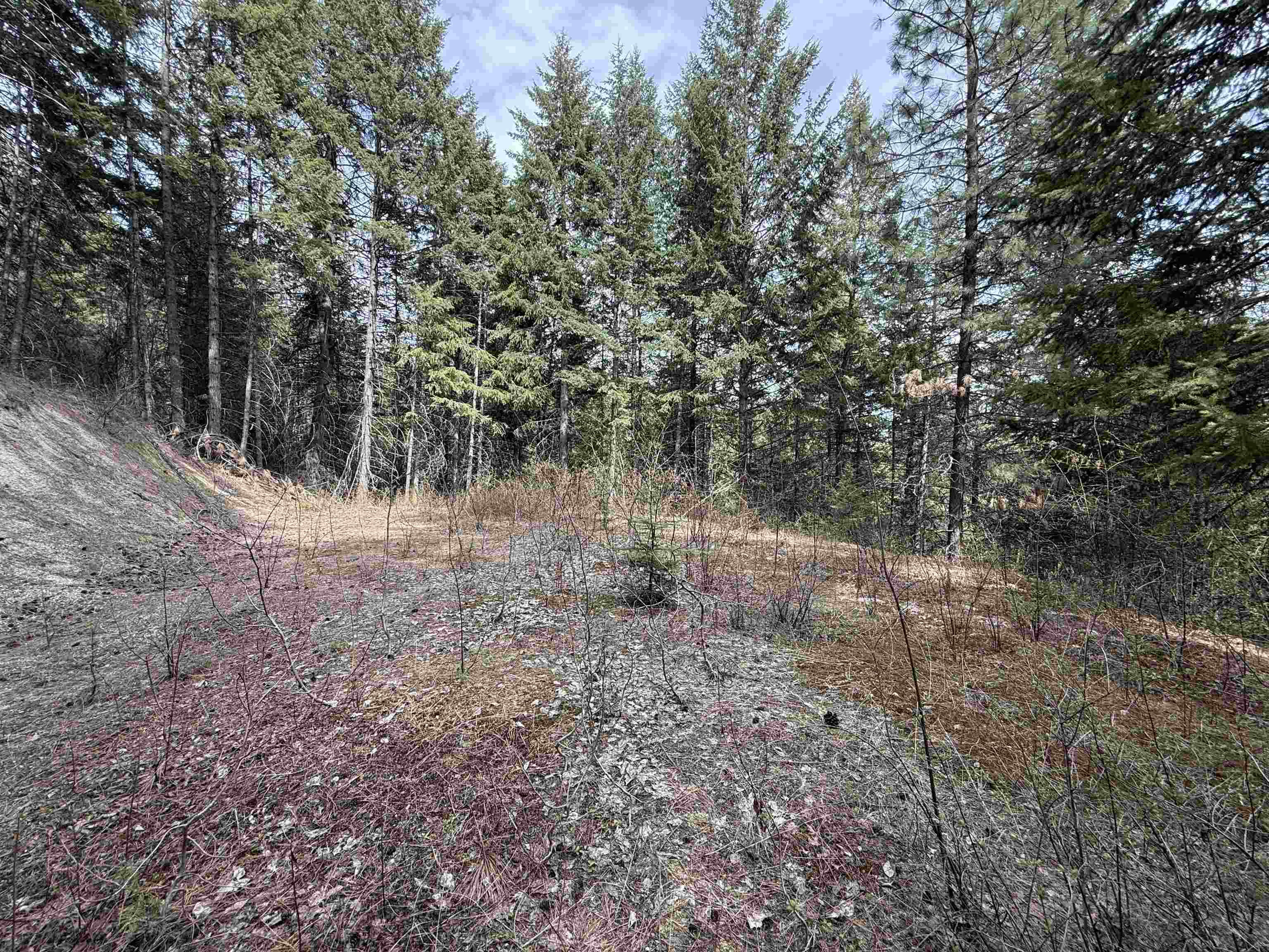 NNA Buck Creek Rd - Photo 17