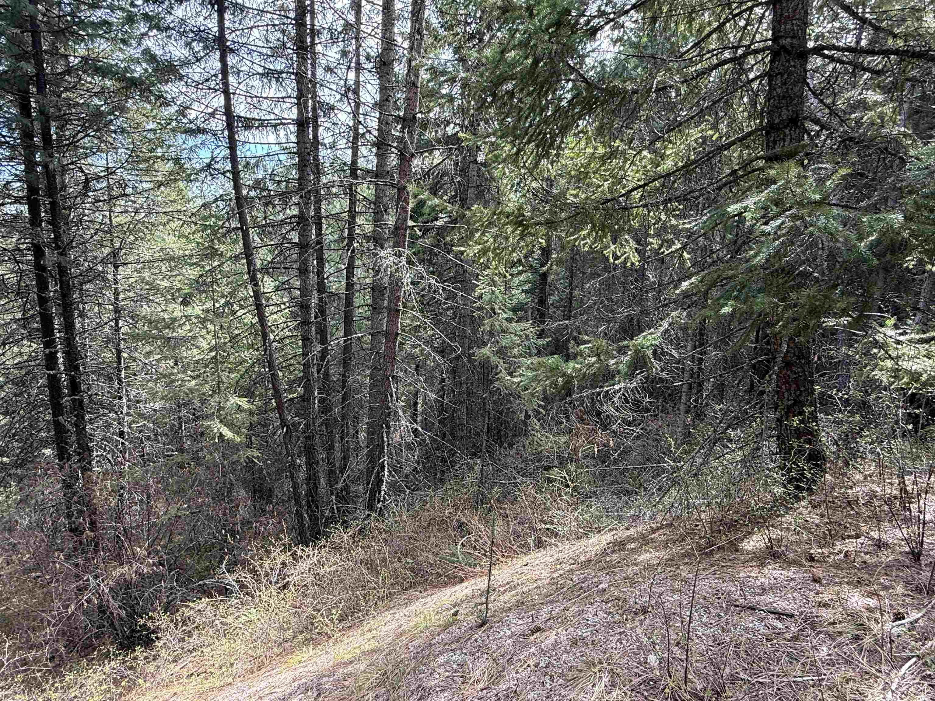 NNA Buck Creek Rd - Photo 18