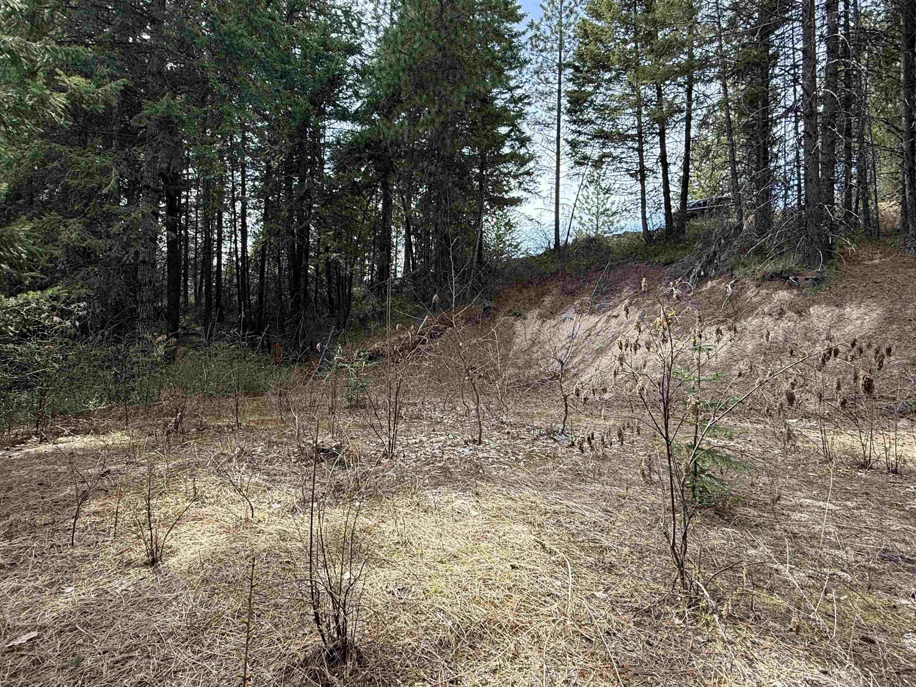 NNA Buck Creek Rd - Photo 19