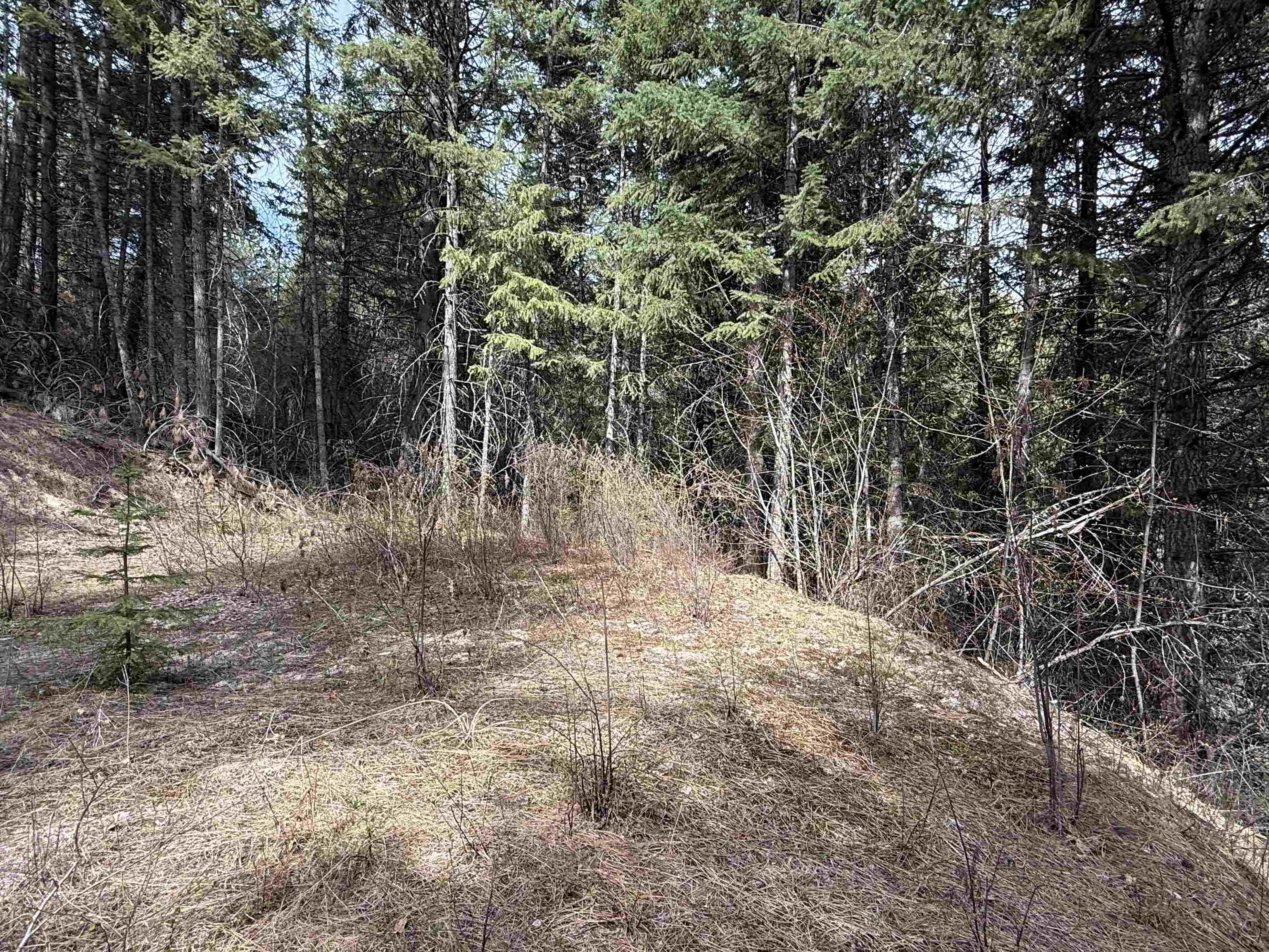 NNA Buck Creek Rd - Photo 20