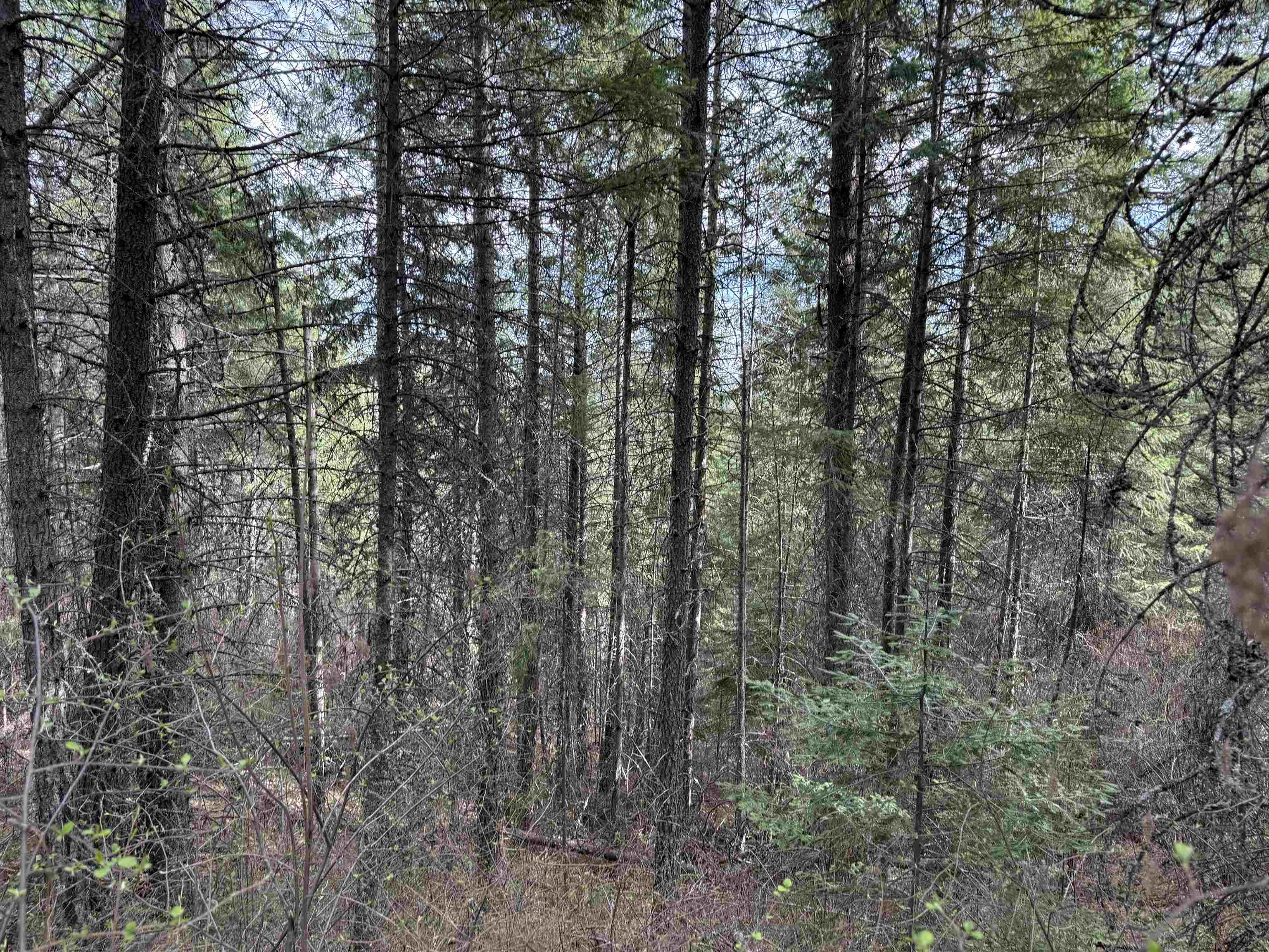 NNA Buck Creek Rd - Photo 21