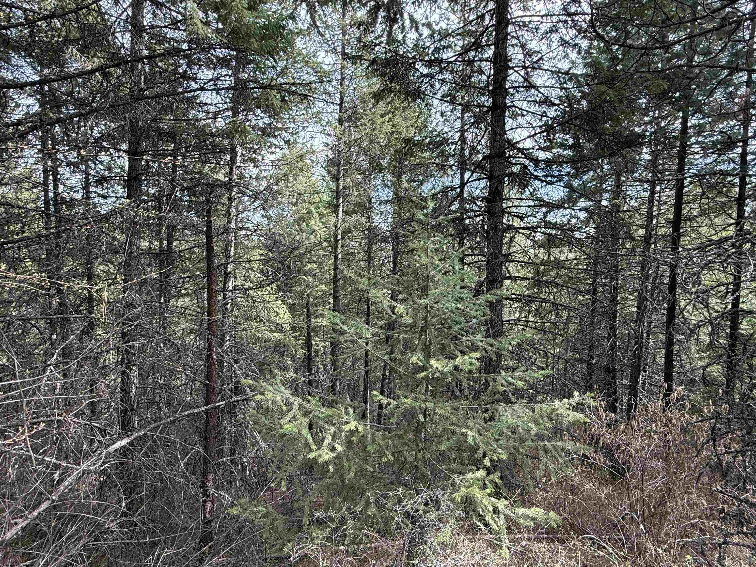NNA Buck Creek Rd - Photo 22