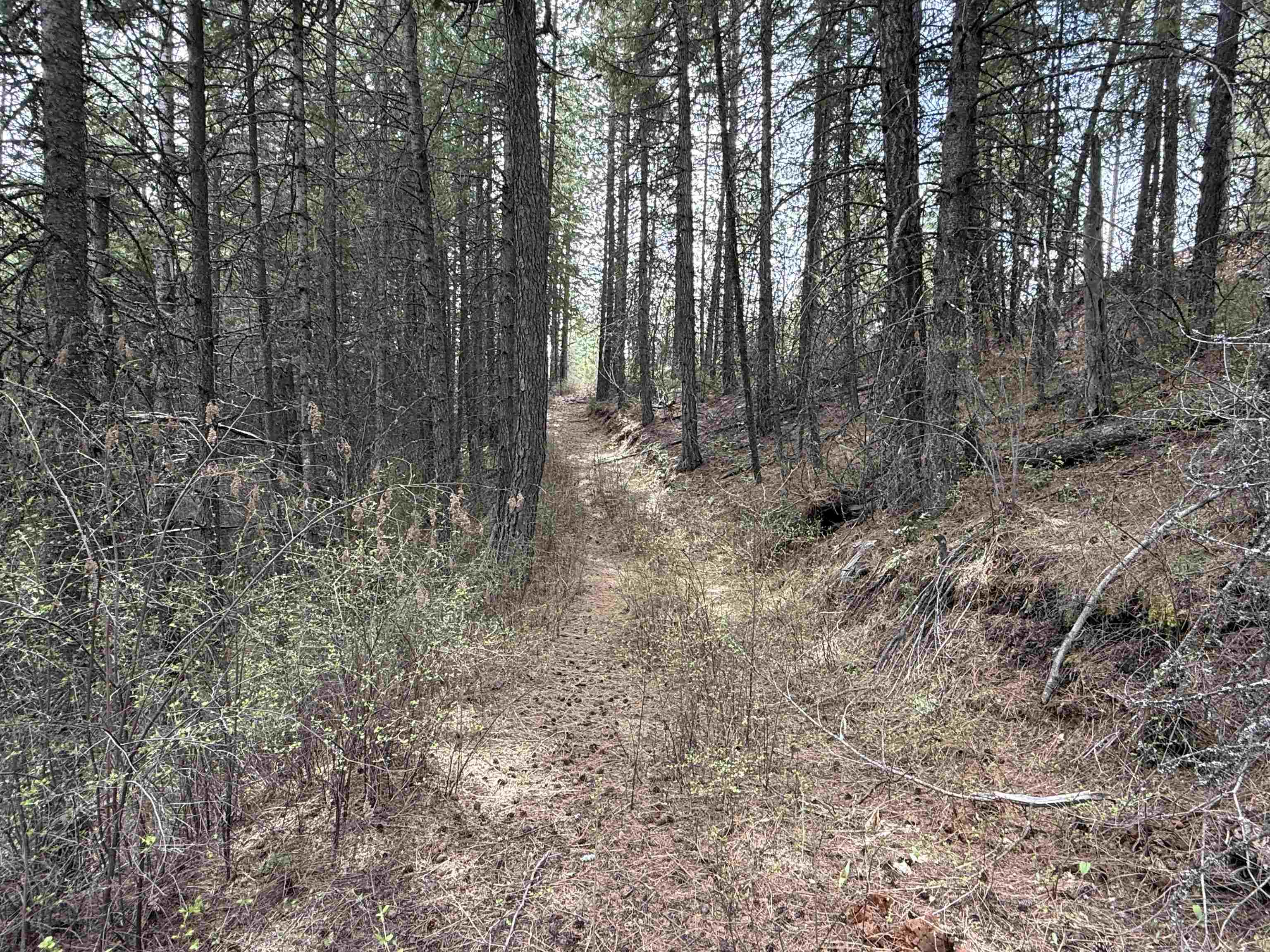 NNA Buck Creek Rd - Photo 23