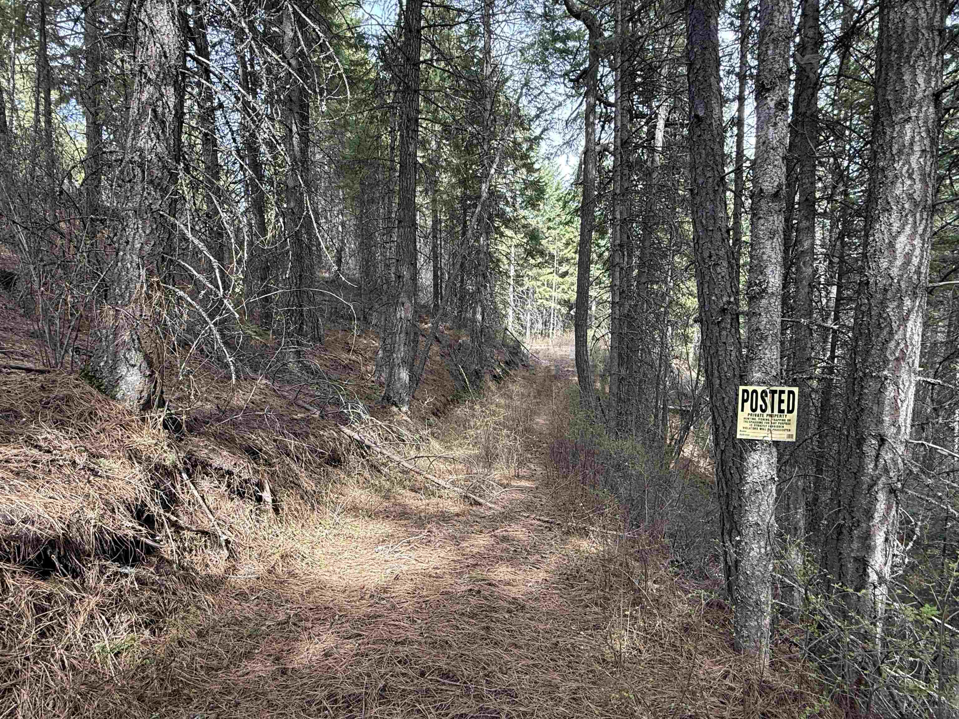 NNA Buck Creek Rd - Photo 24