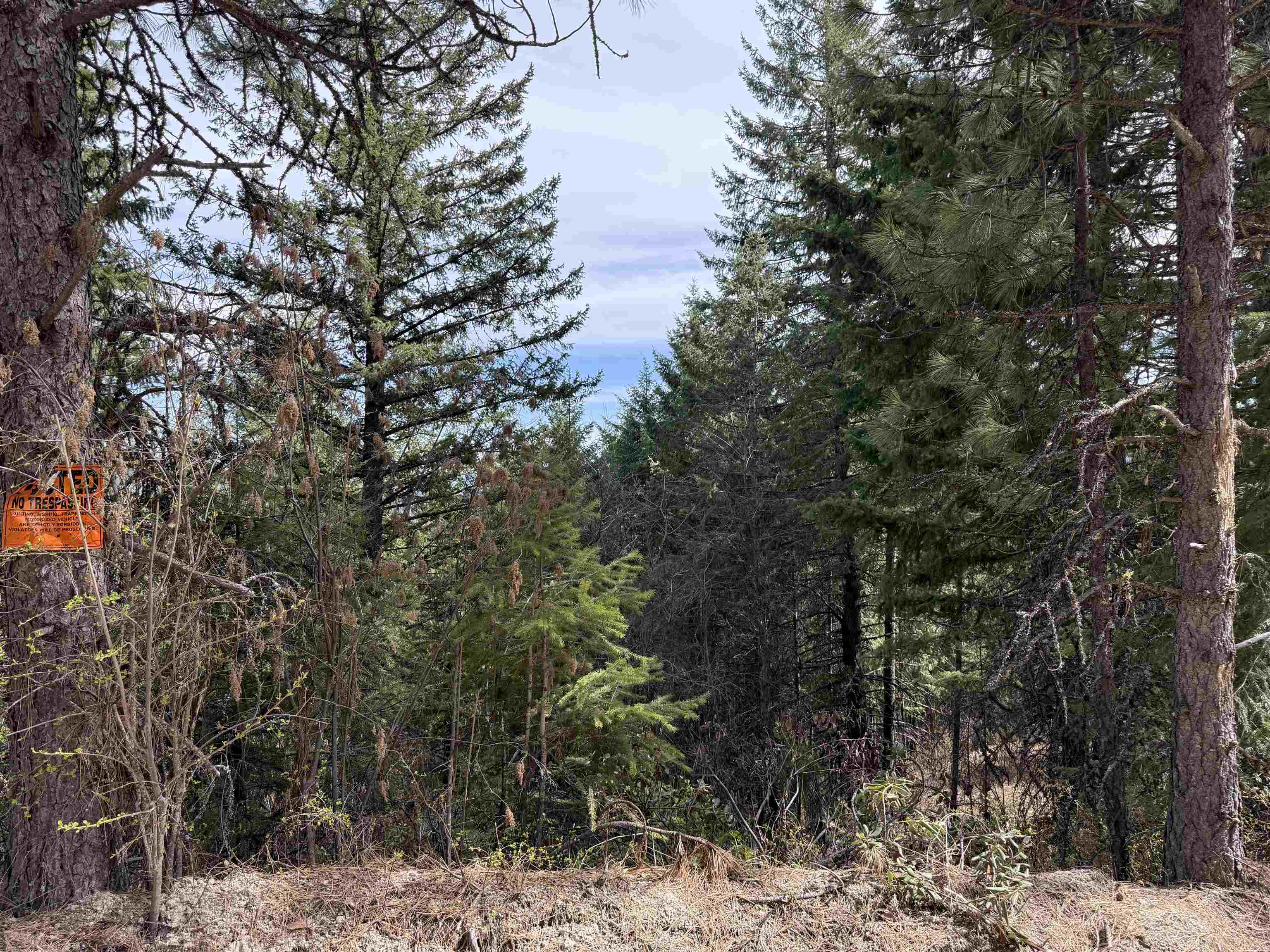NNA Buck Creek Rd - Photo 25