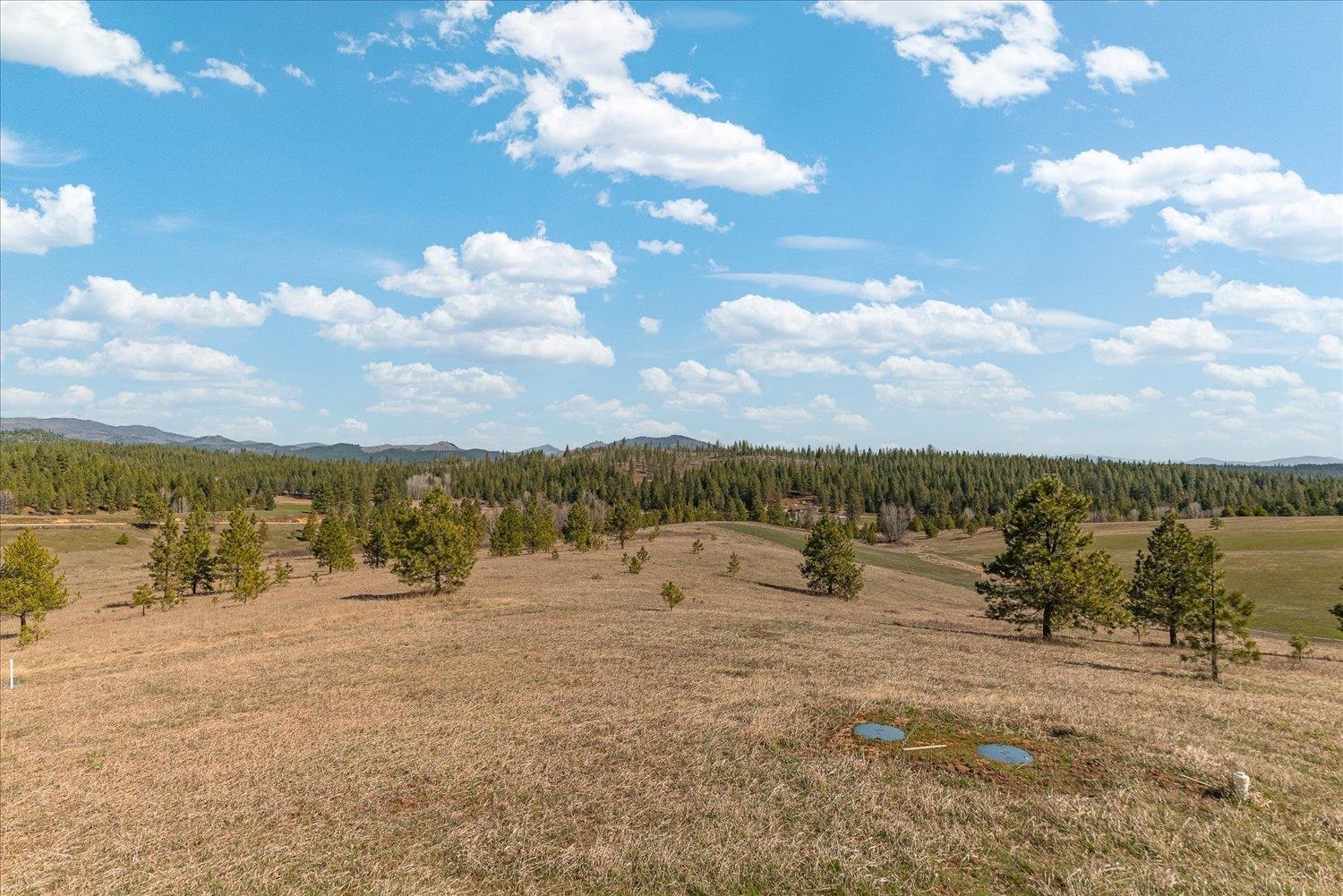 5205 Allen Rd - Photo 33