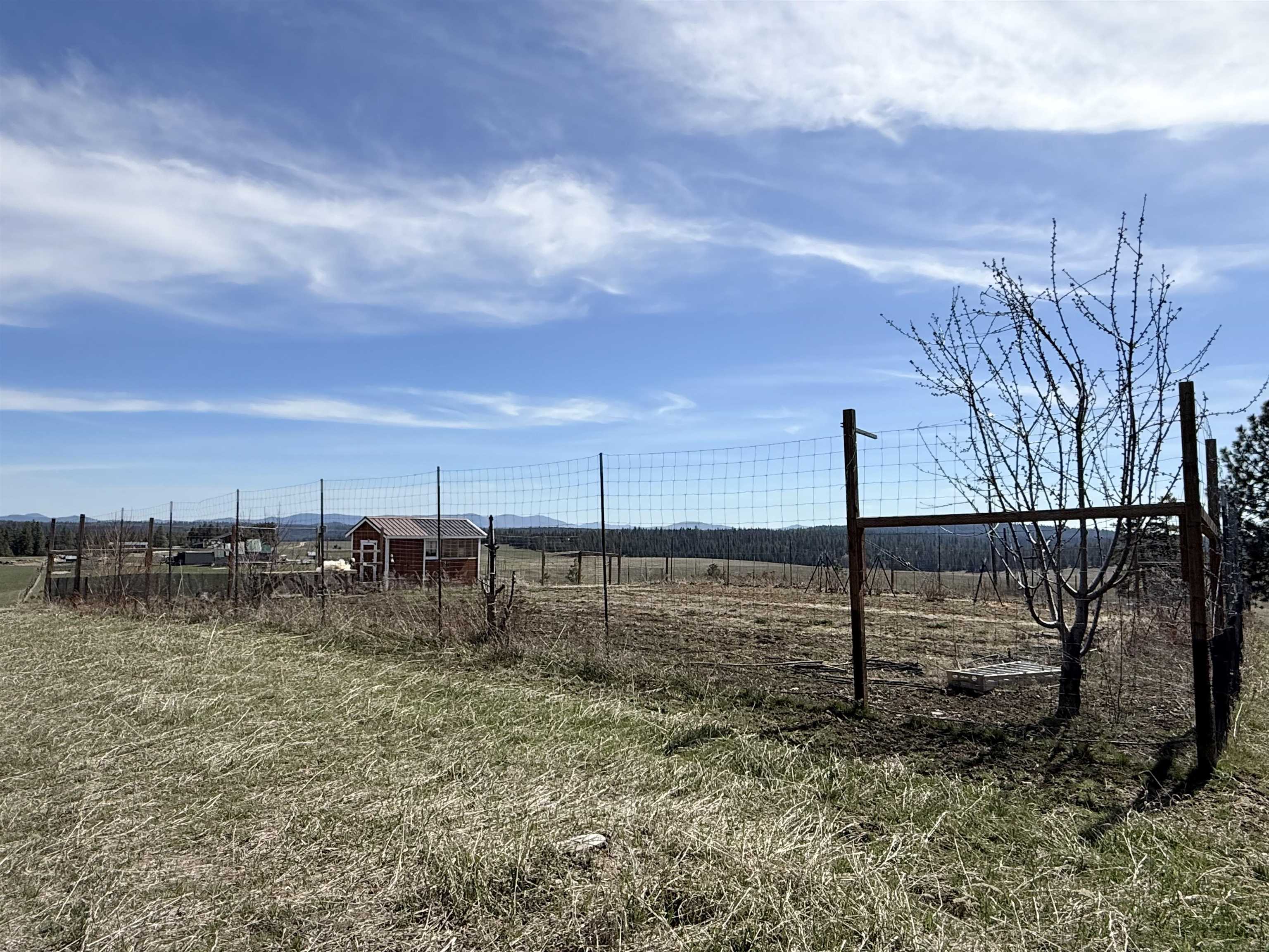 5205 Allen Rd - Photo 35