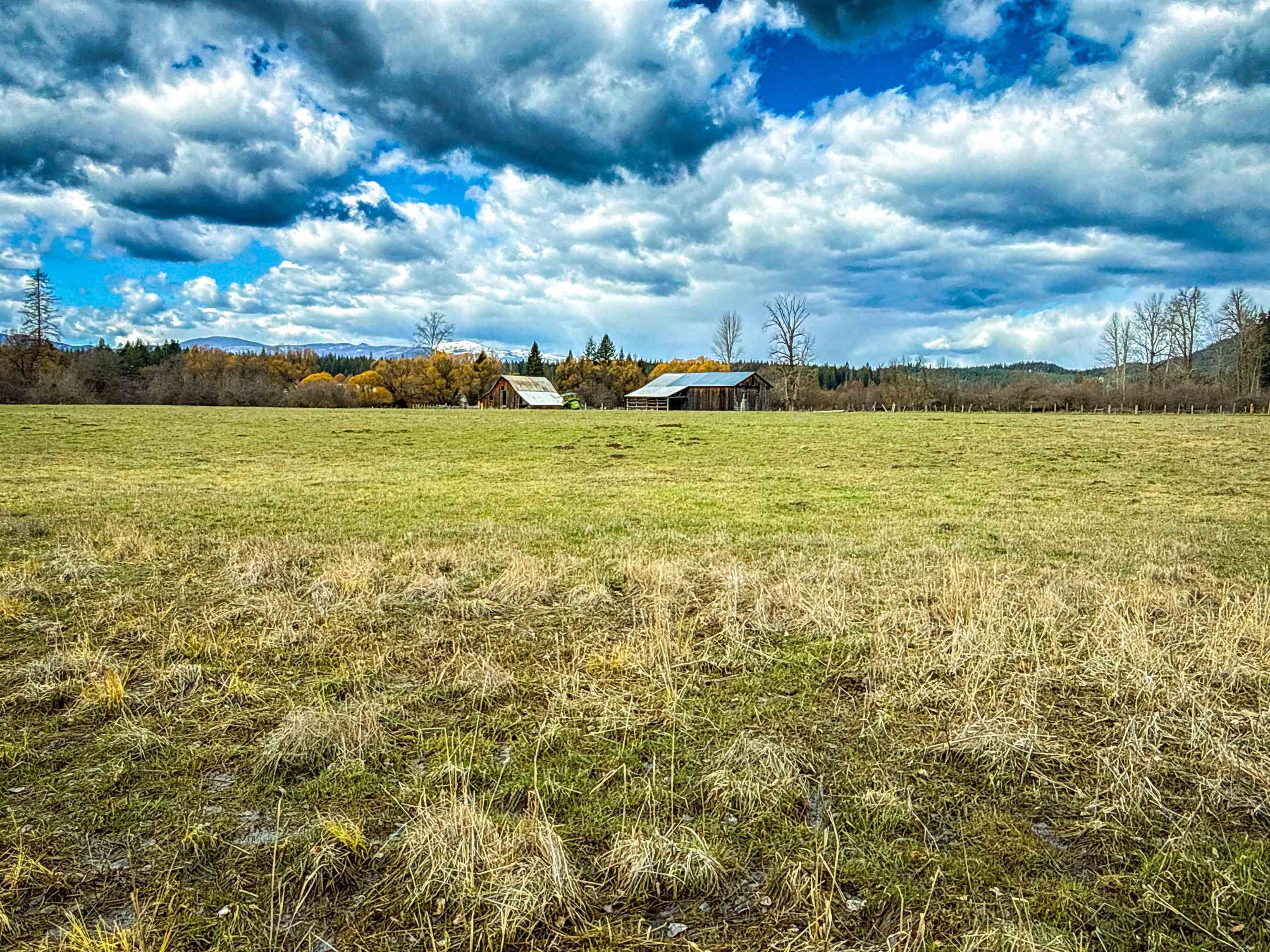 901 Skookum Creek Rd - Photo 19