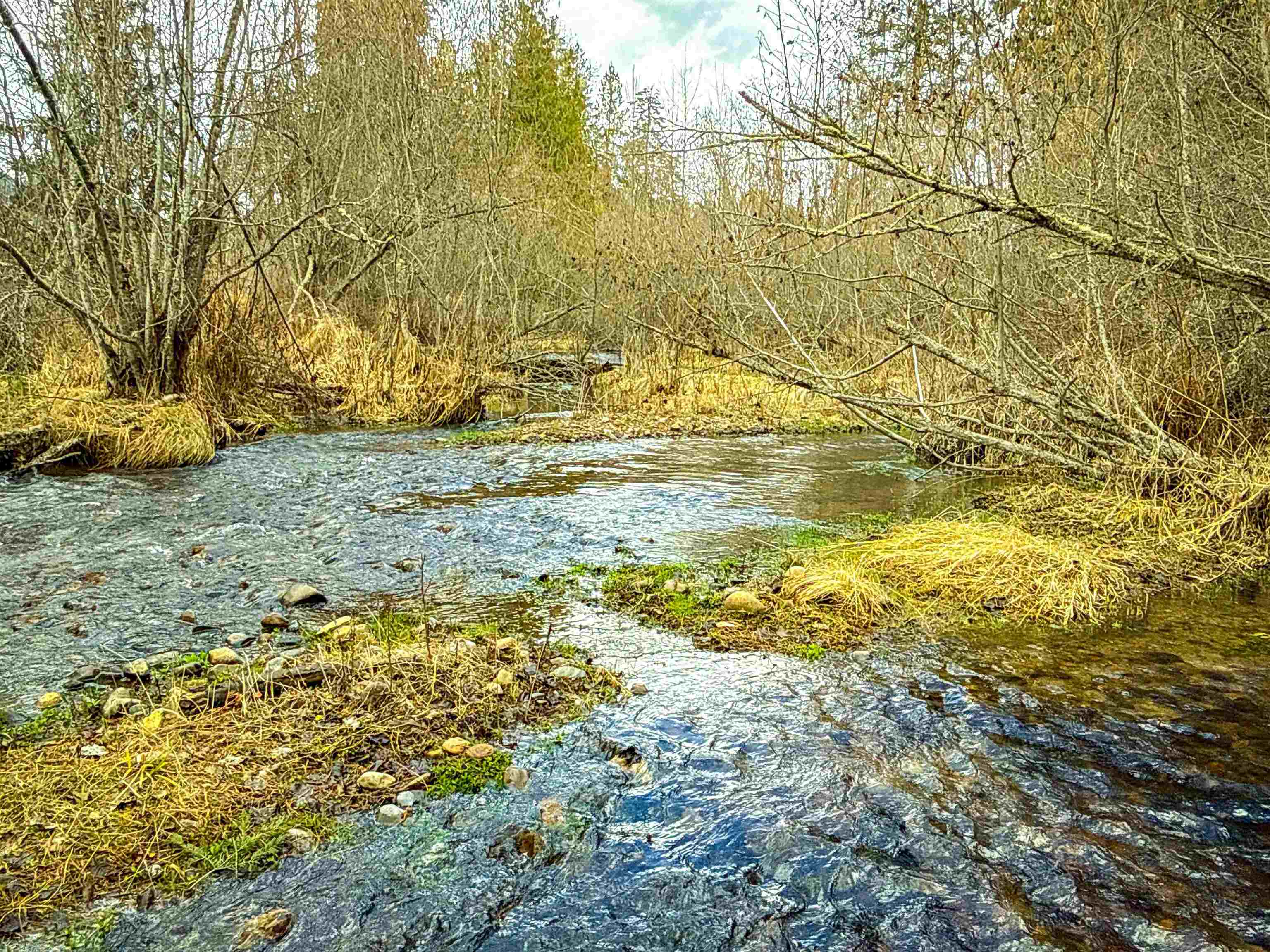 901 Skookum Creek Rd - Photo 24