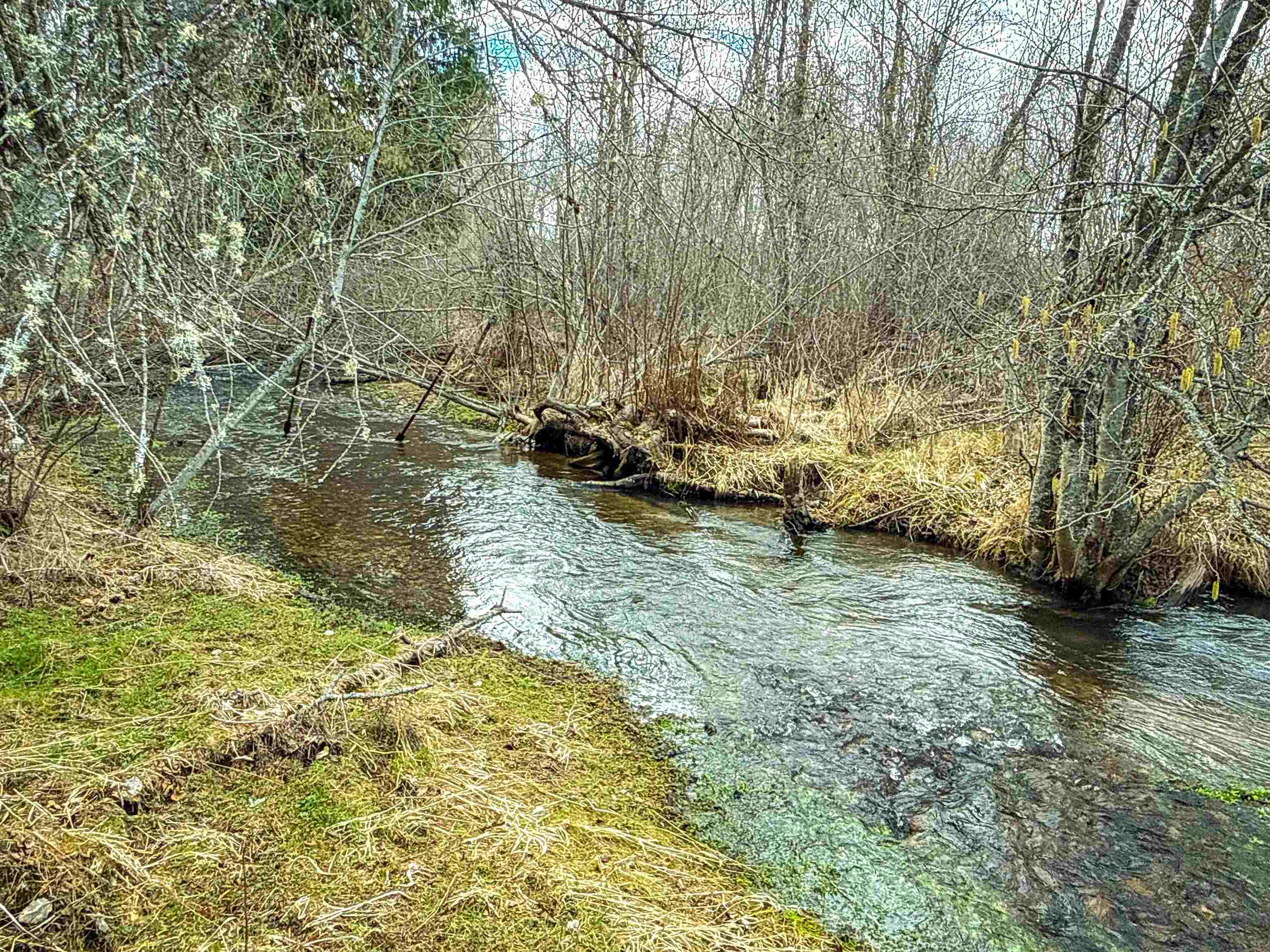901 Skookum Creek Rd - Photo 25