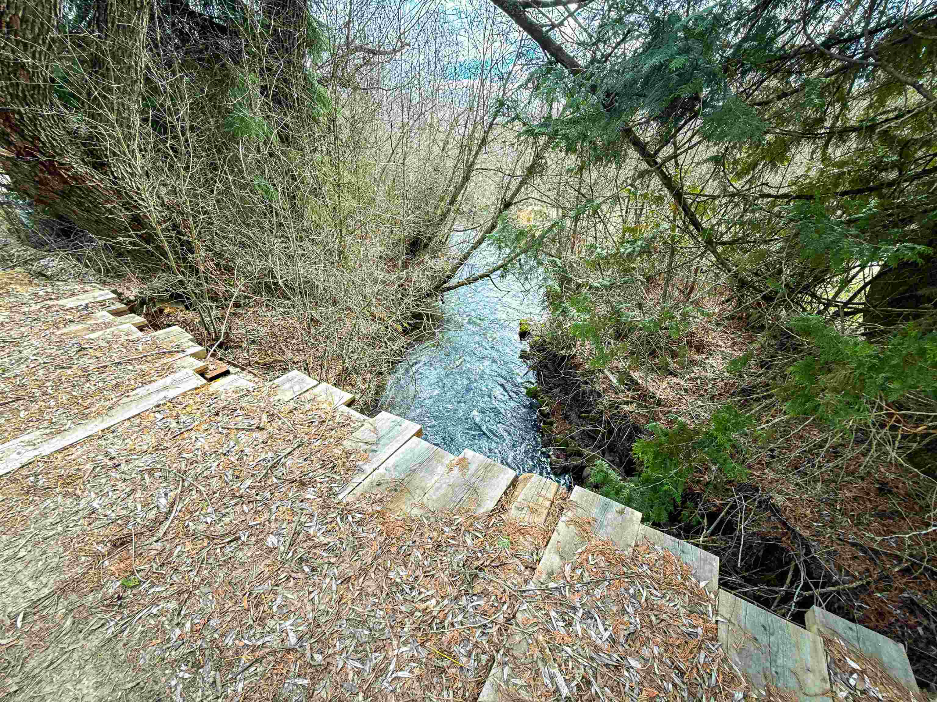 901 Skookum Creek Rd - Photo 30