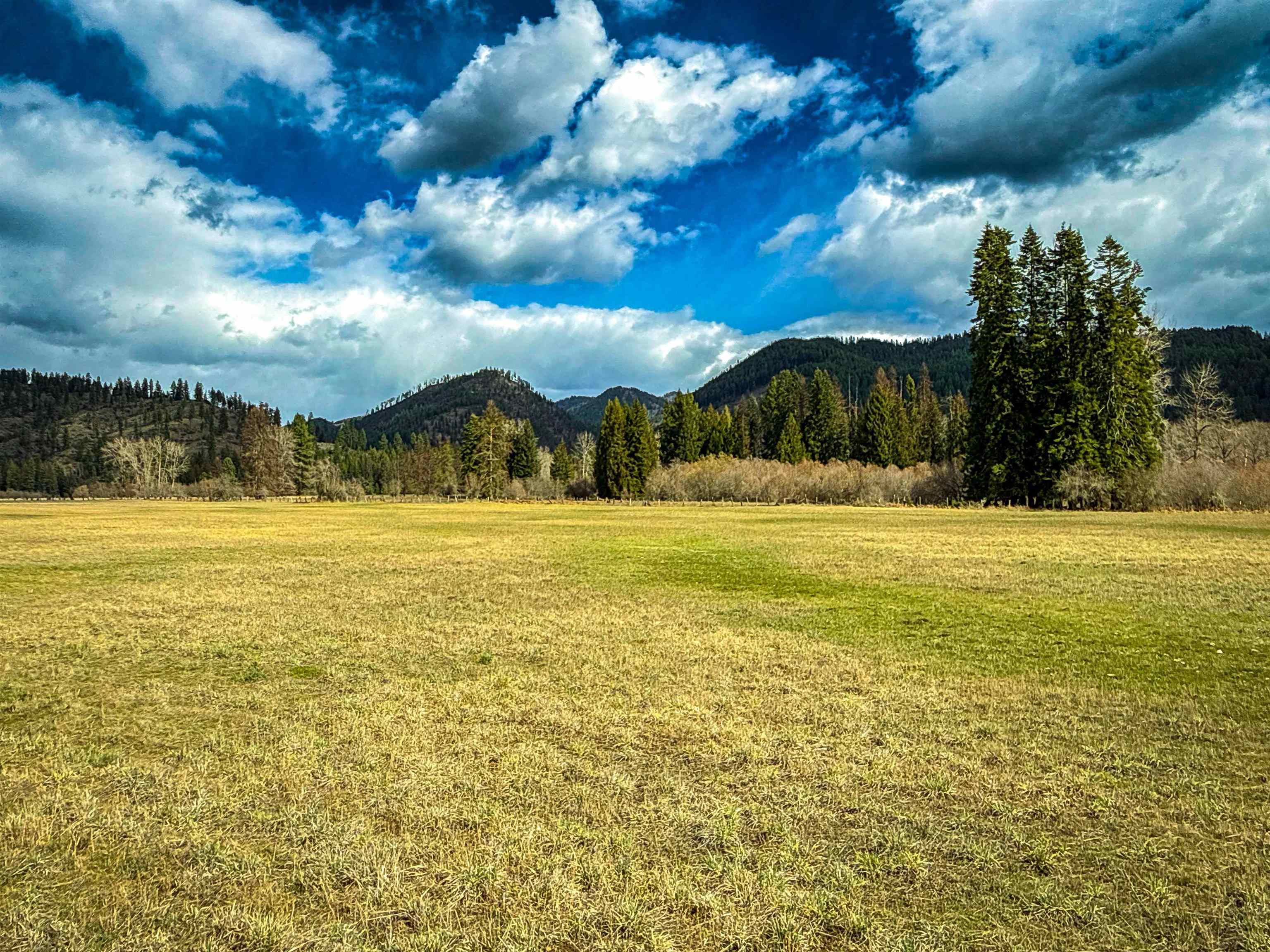 901 Skookum Creek Rd - Photo 31
