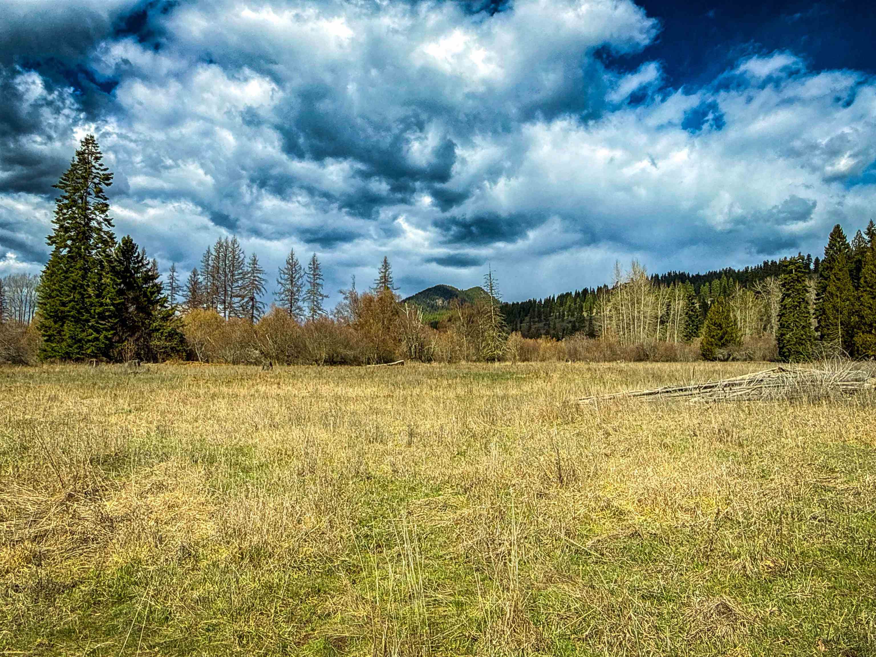 901 Skookum Creek Rd - Photo 33