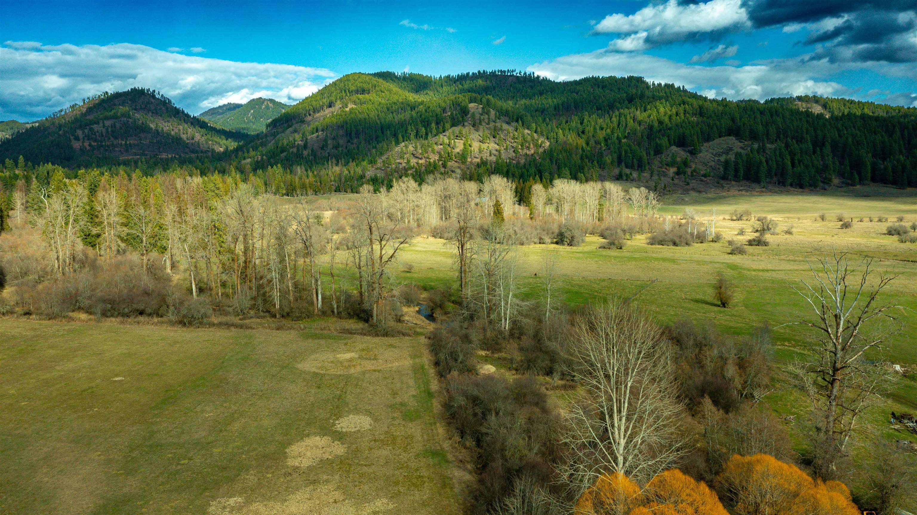901 Skookum Creek Rd - Photo 41