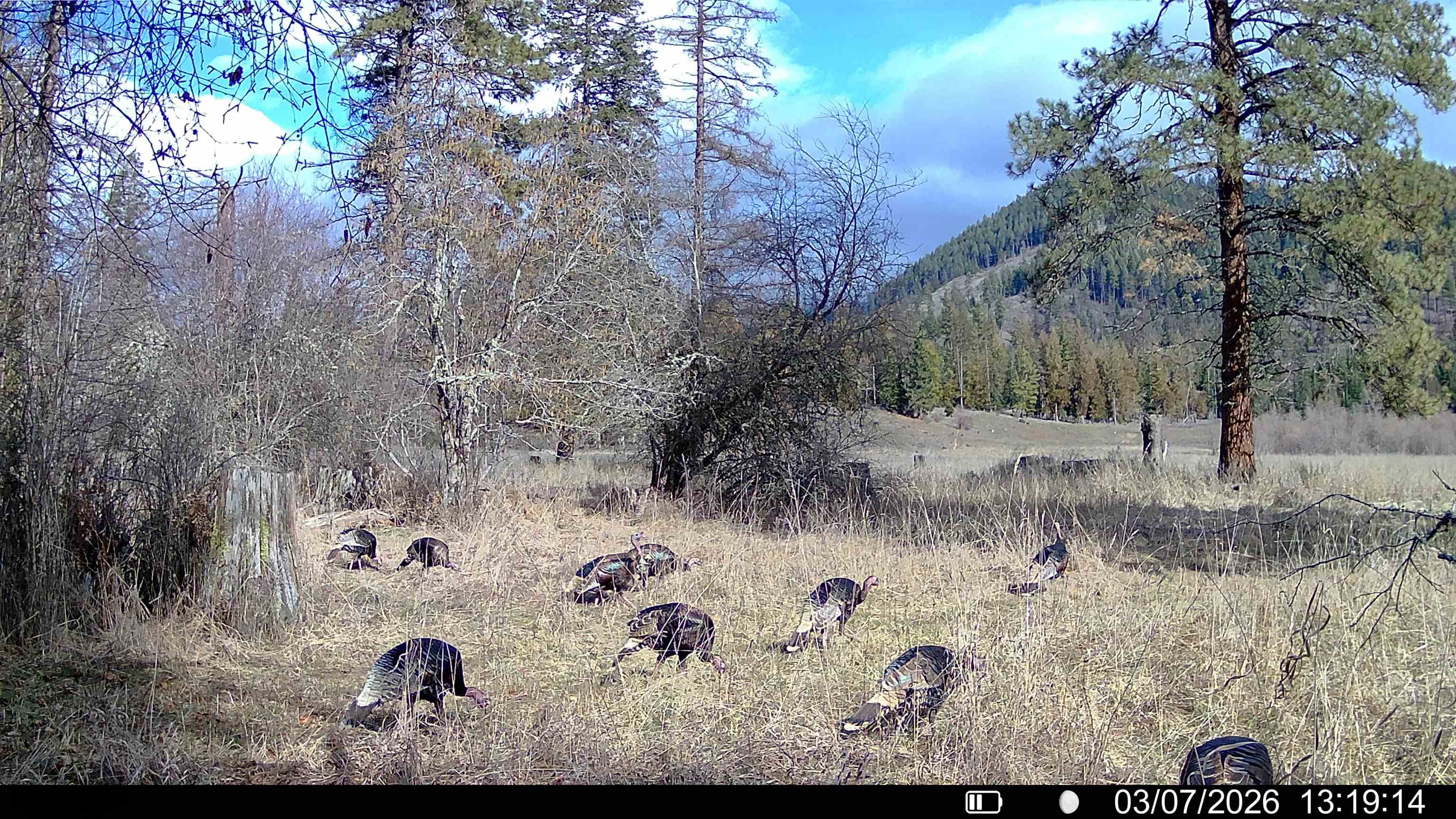 901 Skookum Creek Rd - Photo 47