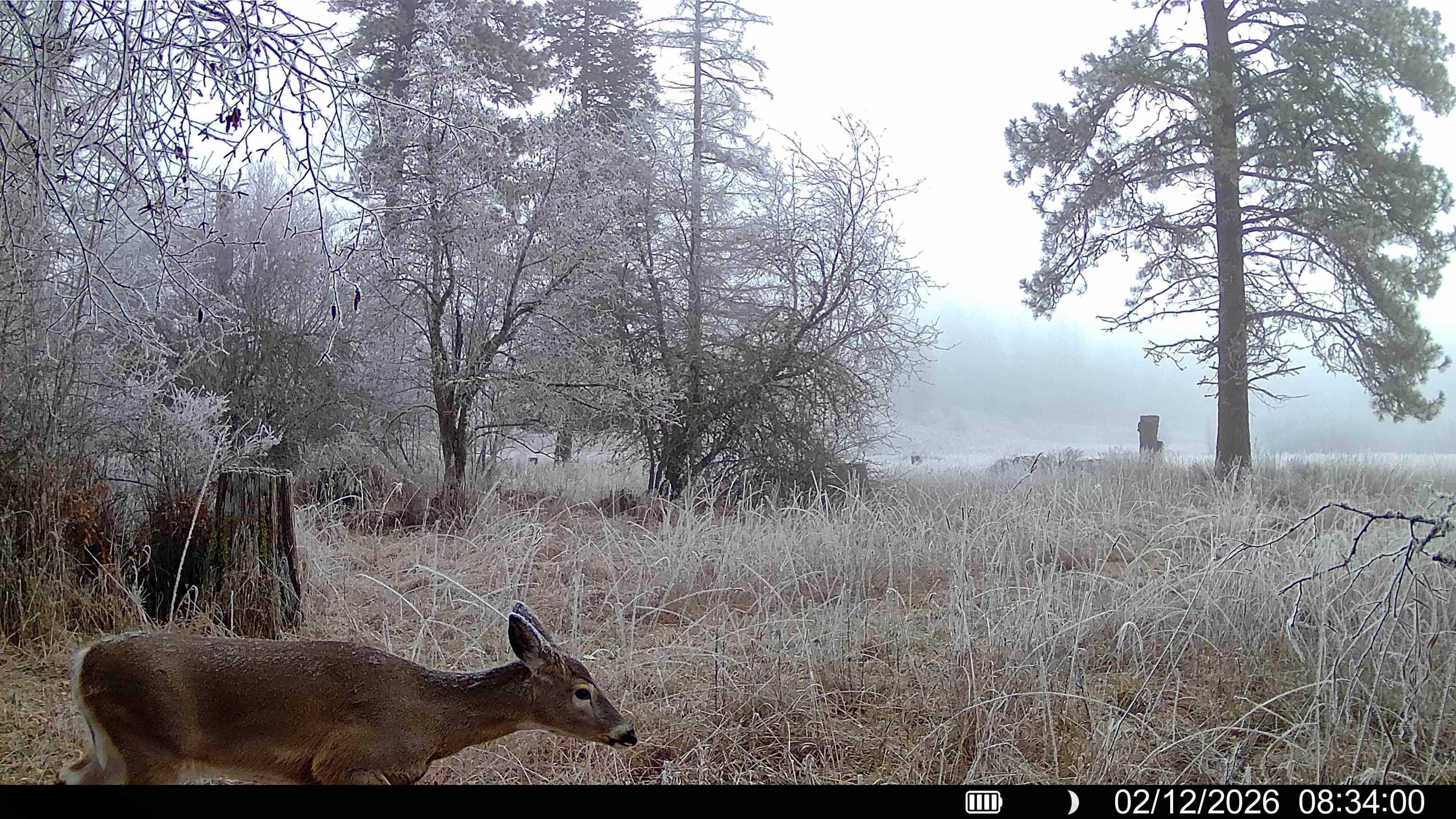 901 Skookum Creek Rd - Photo 48