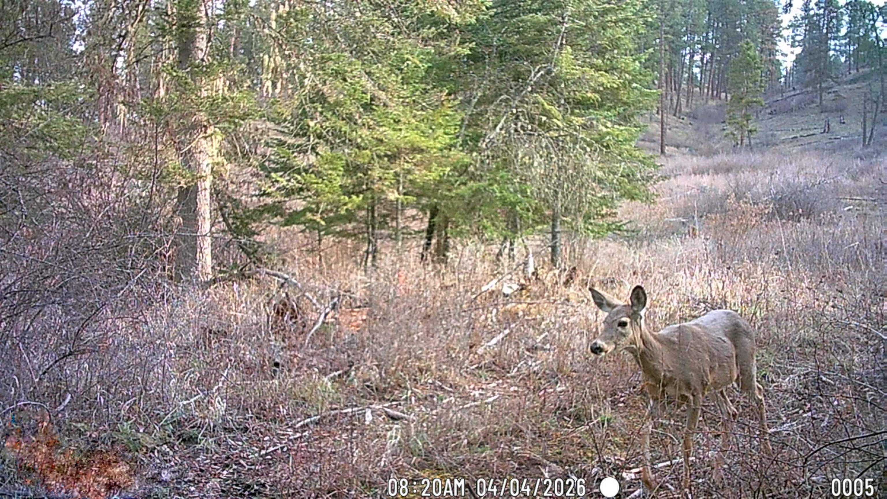 NKA Best Chance Rd - Photo 42