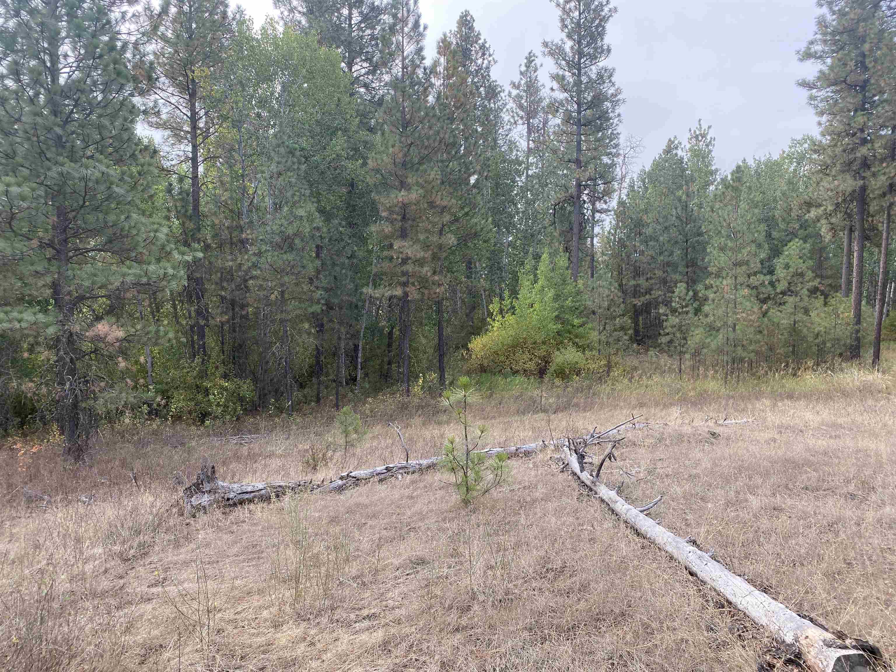 TBD Lorna Ln - Photo 10