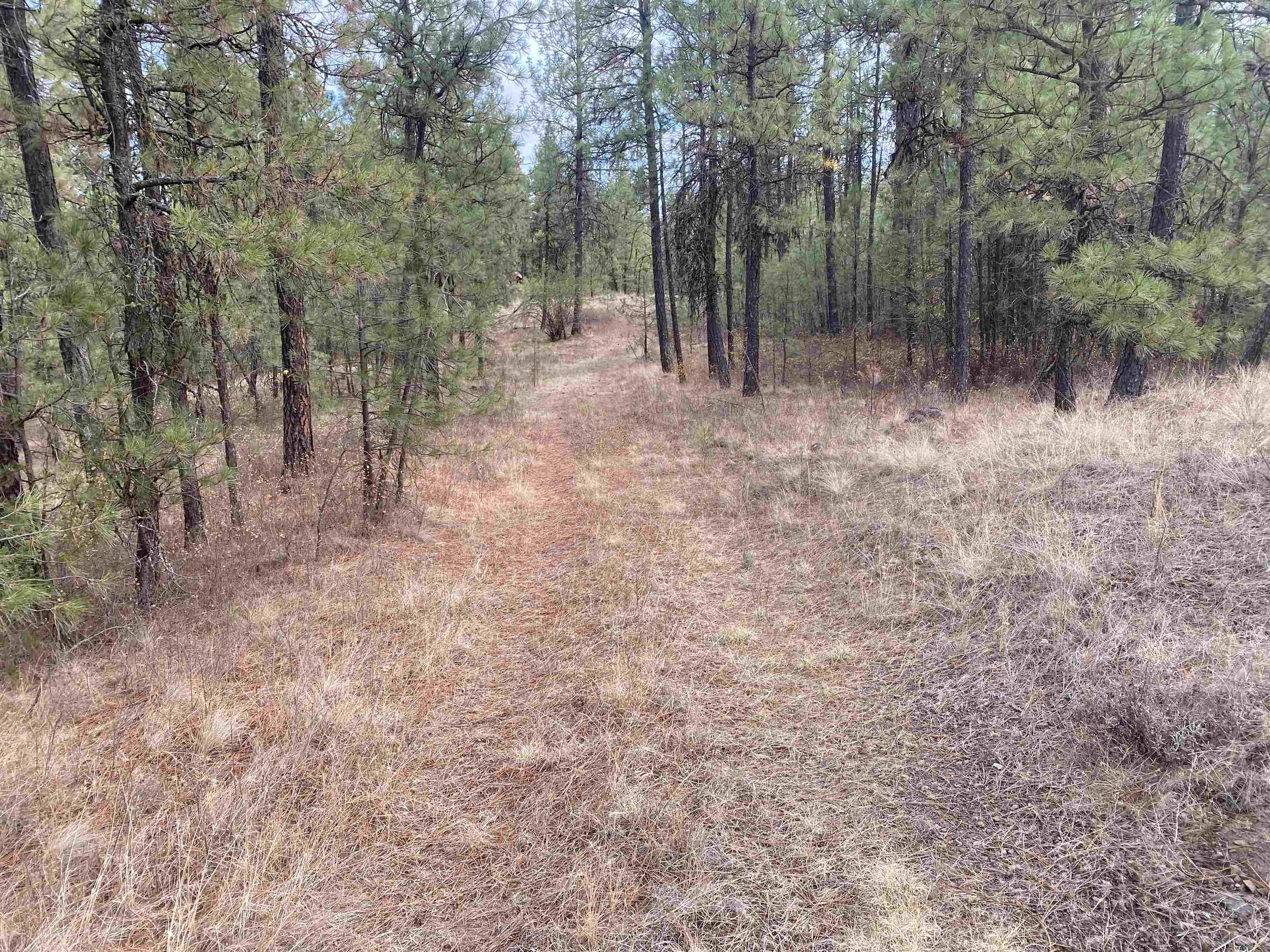 TBD Lorna Ln - Photo 12