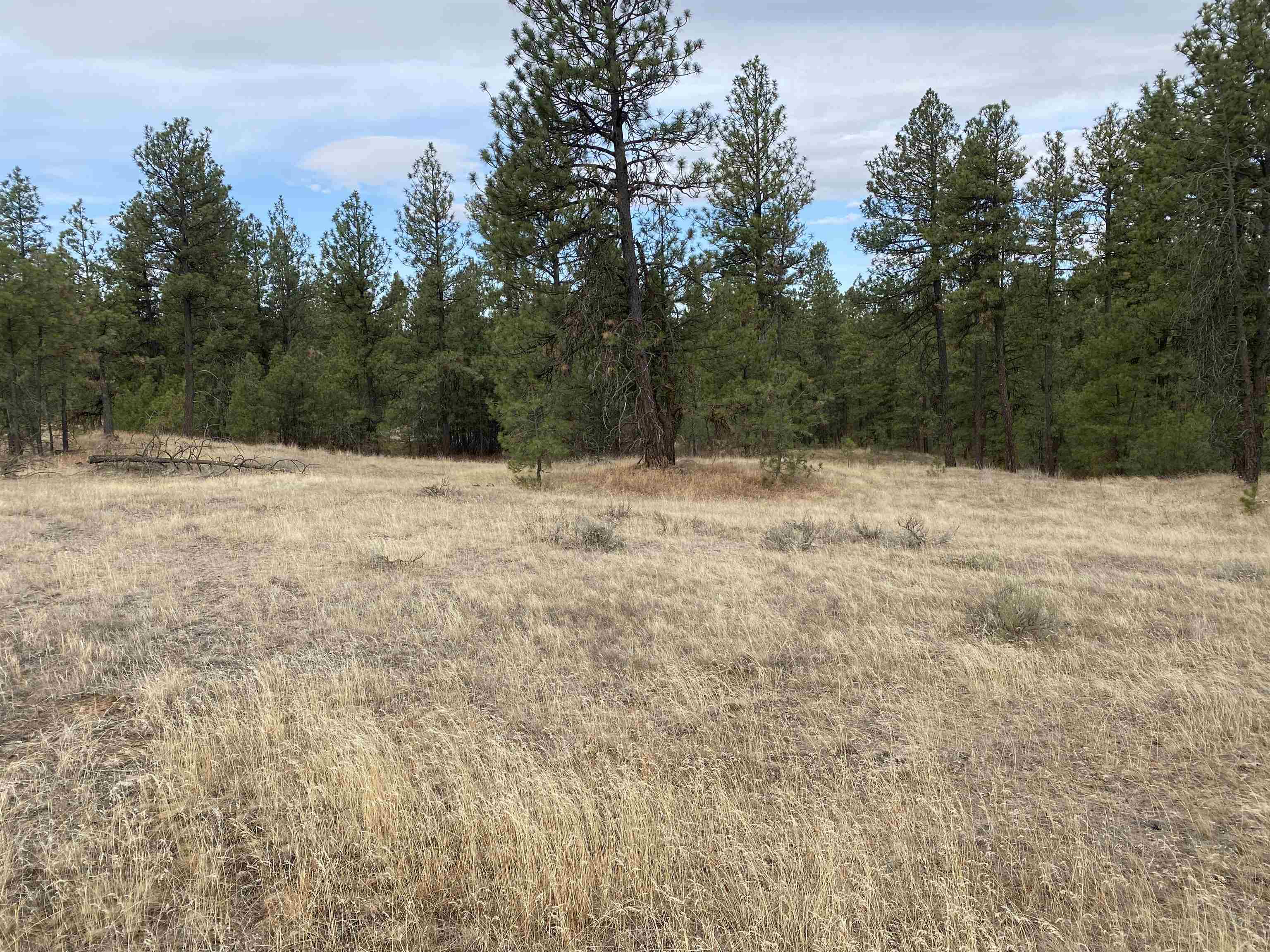 TBD Lorna Ln - Photo 13