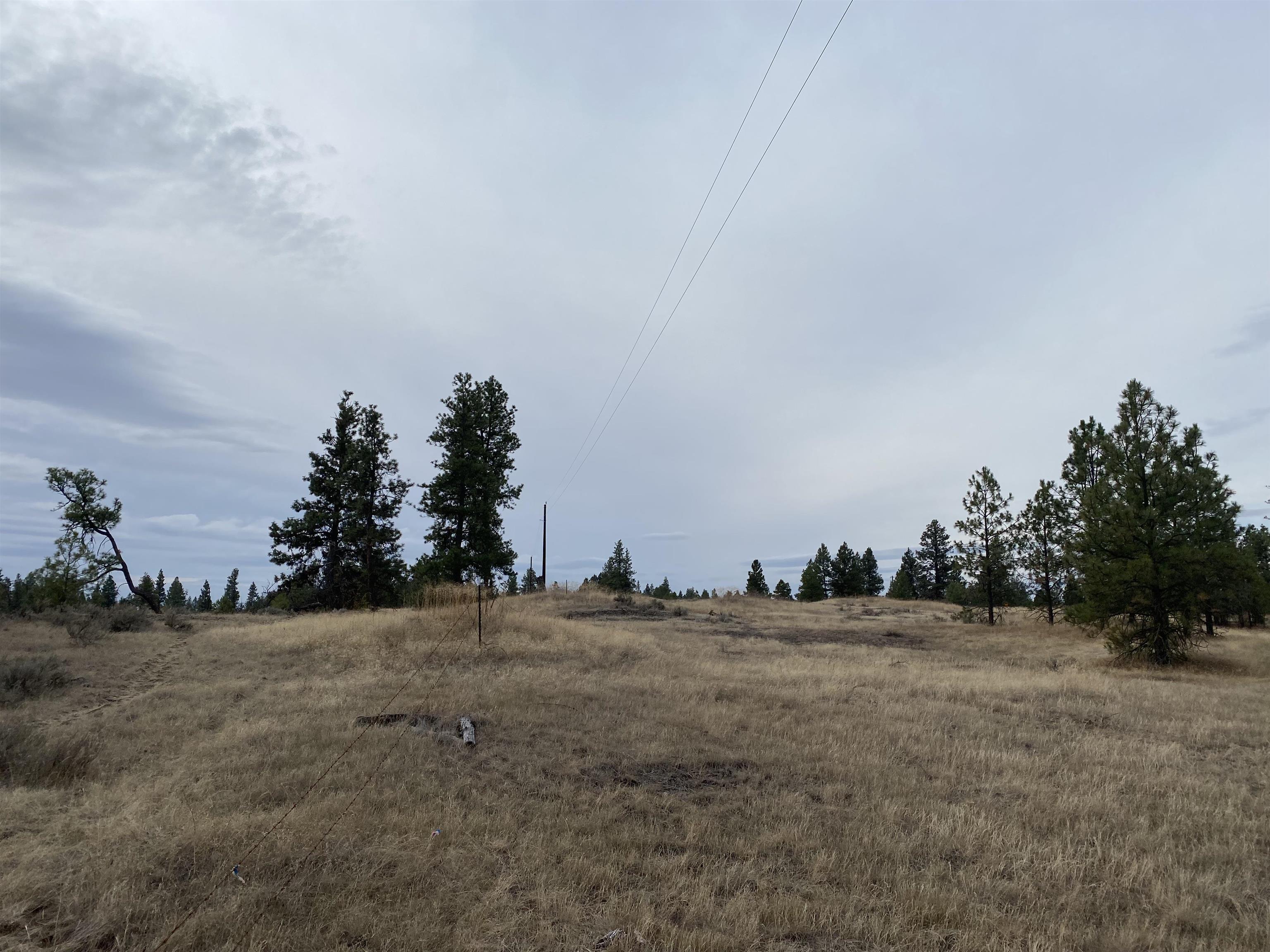 TBD Lorna Ln - Photo 9