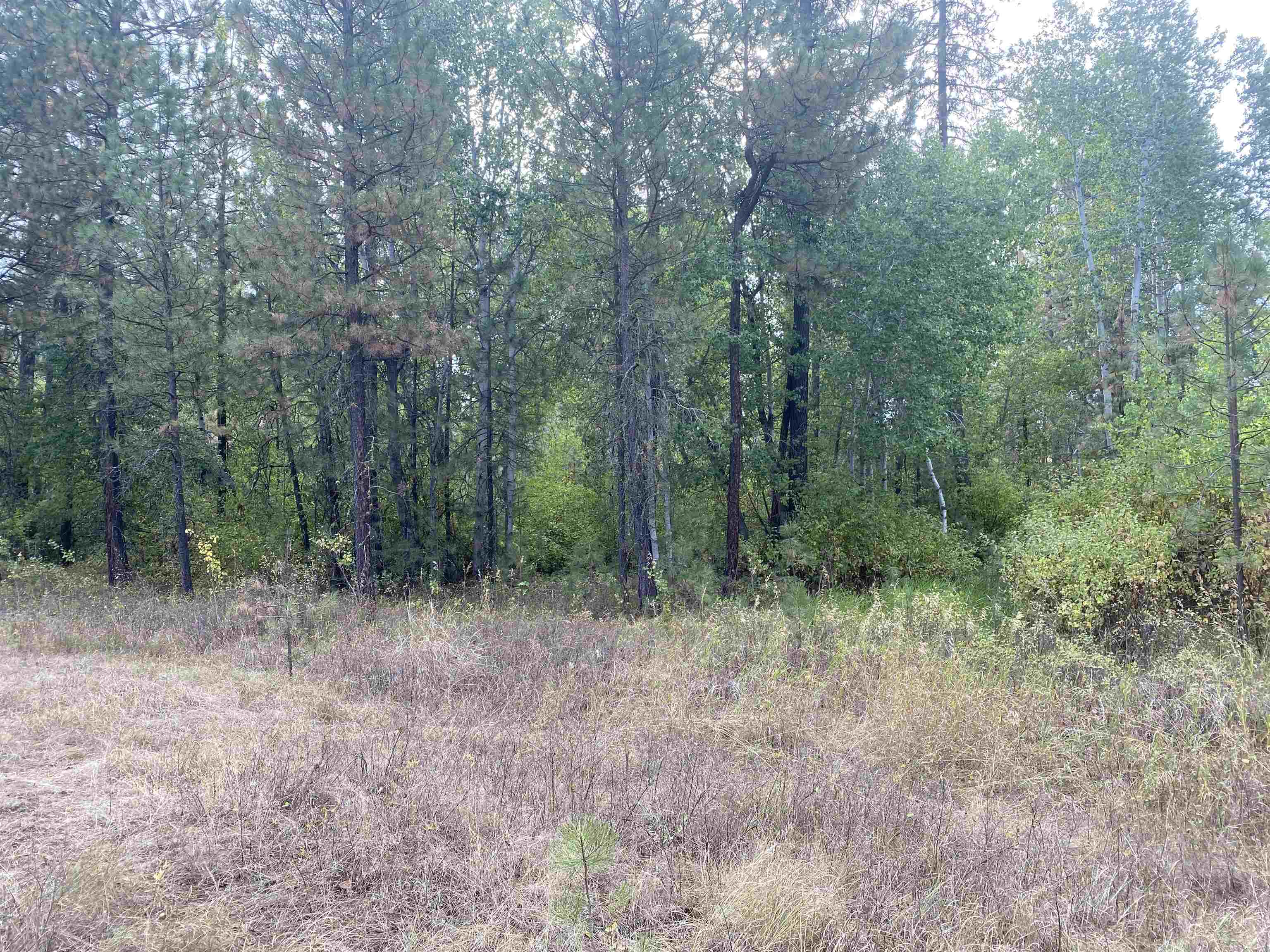 TBD Lorna Ln - Photo 11