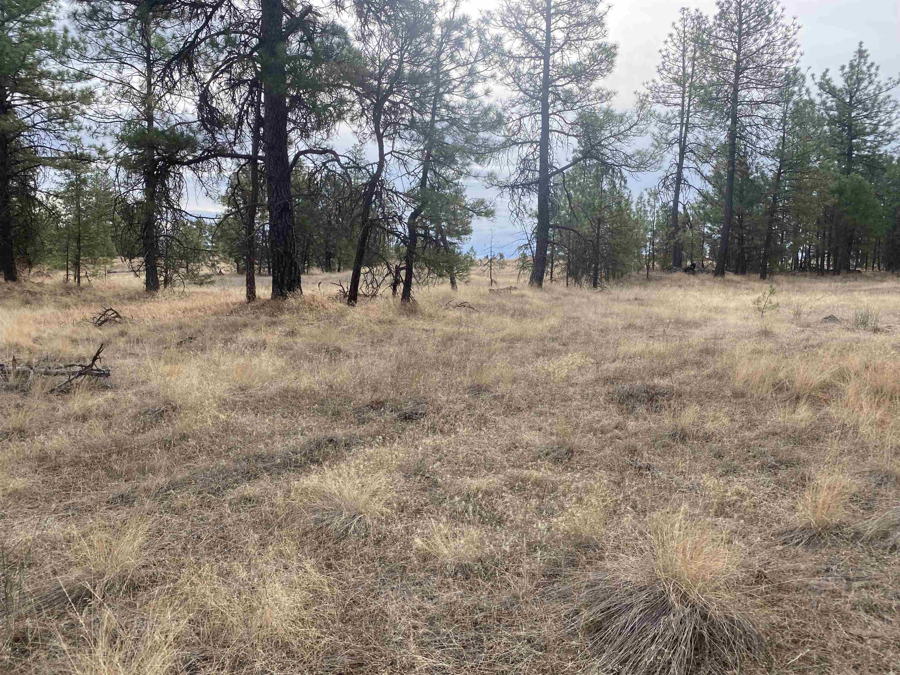TBD Lorna Ln - Photo 14