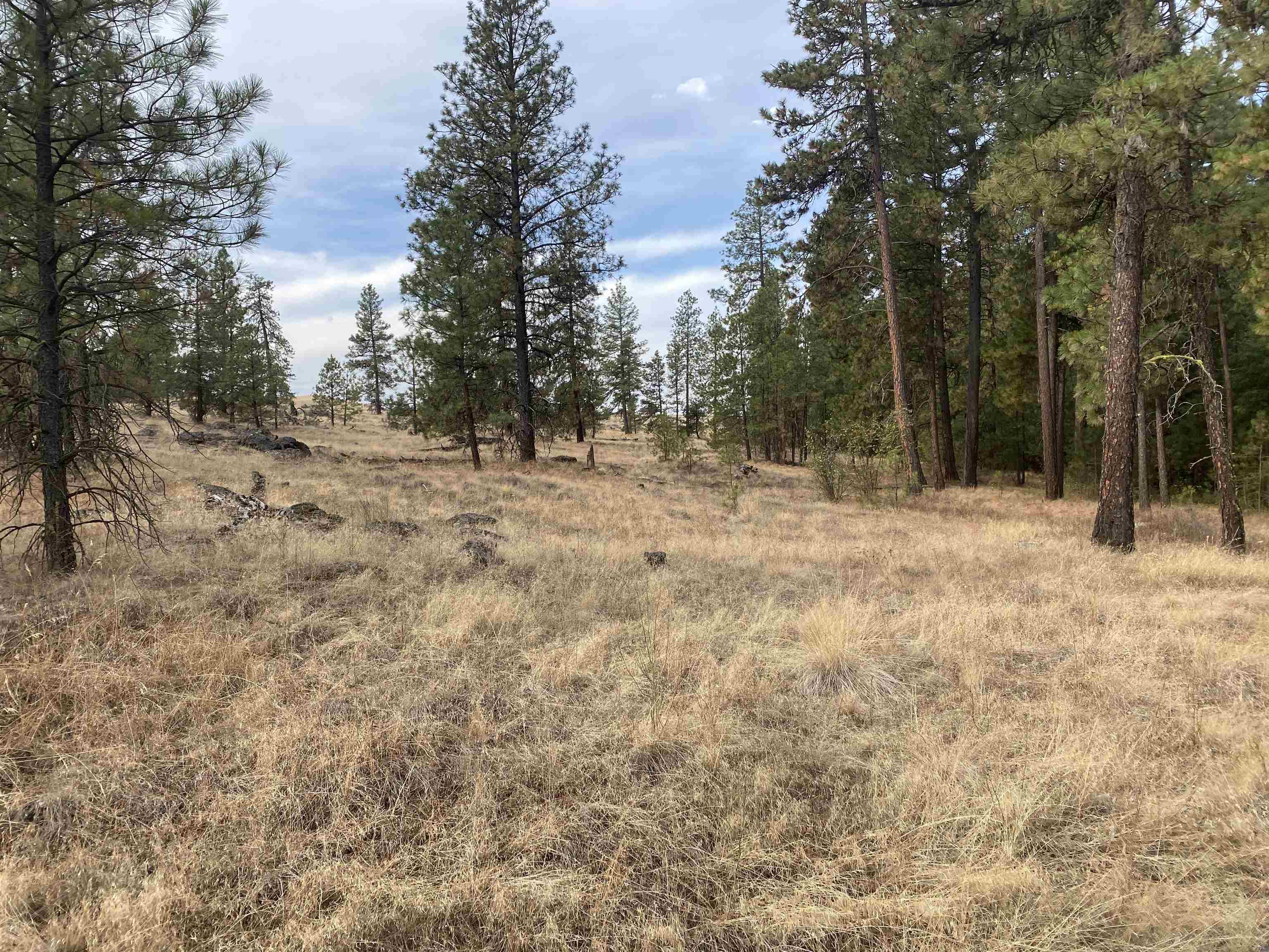 TBD Lorna Ln - Photo 15