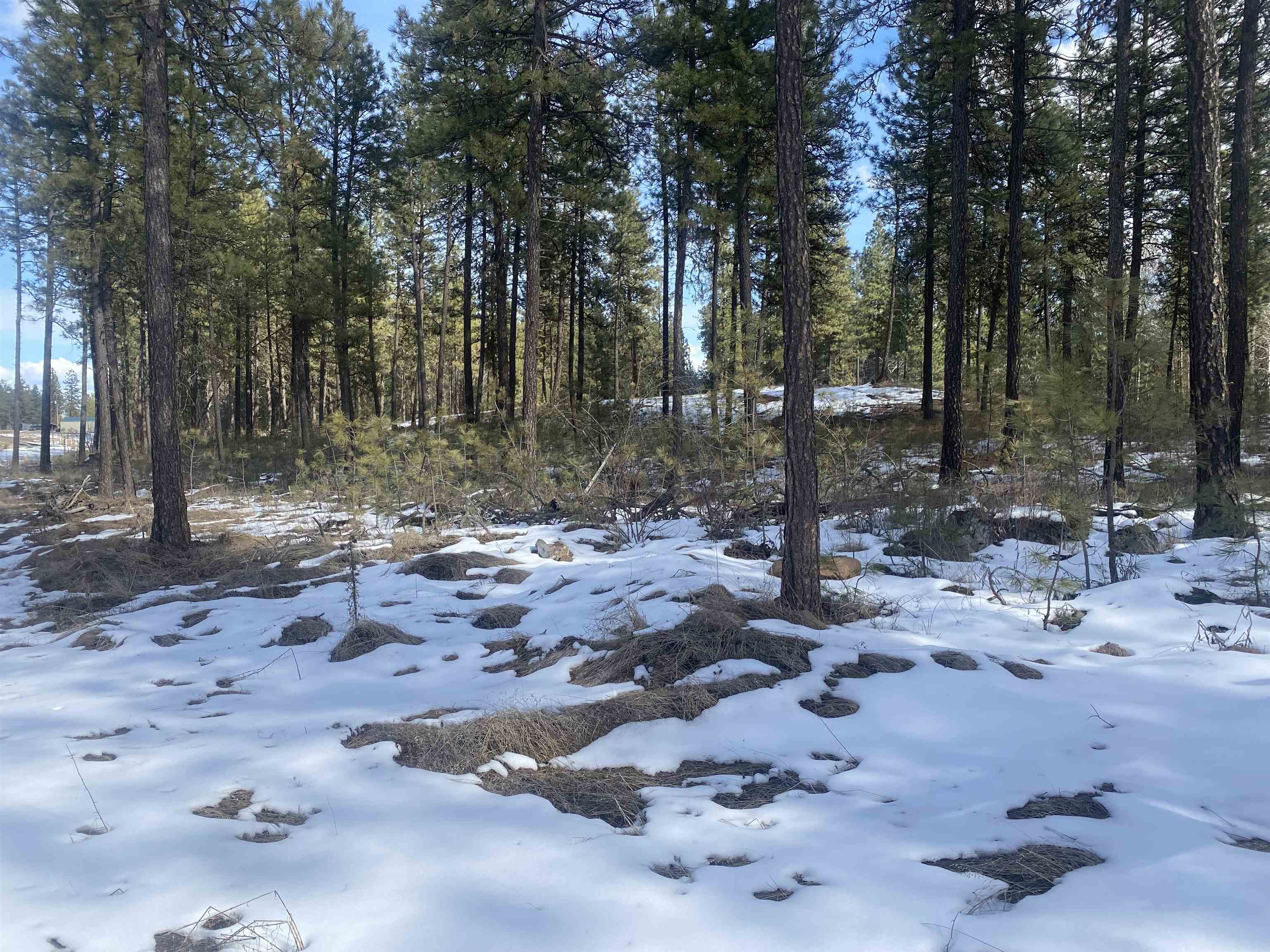 TBD Lorna Ln - Photo 16