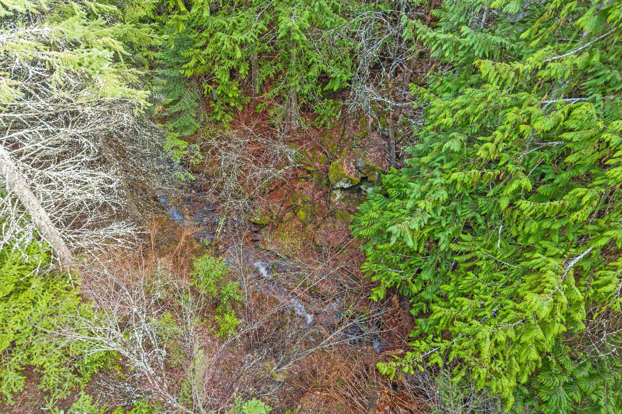 988 Orin Rice Rd - Photo 13
