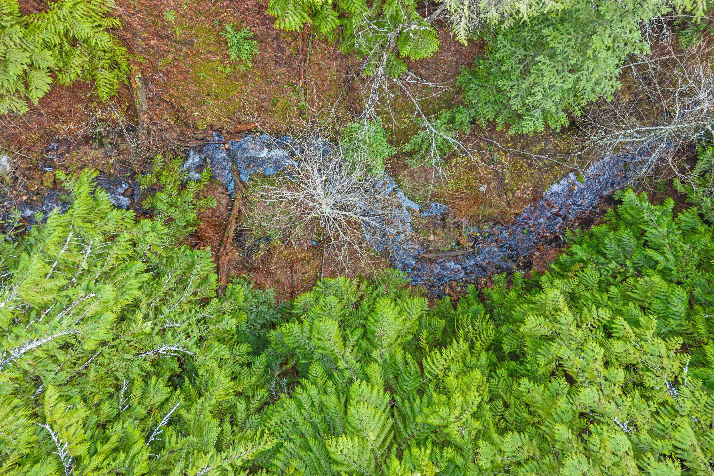 988 Orin Rice Rd - Photo 14