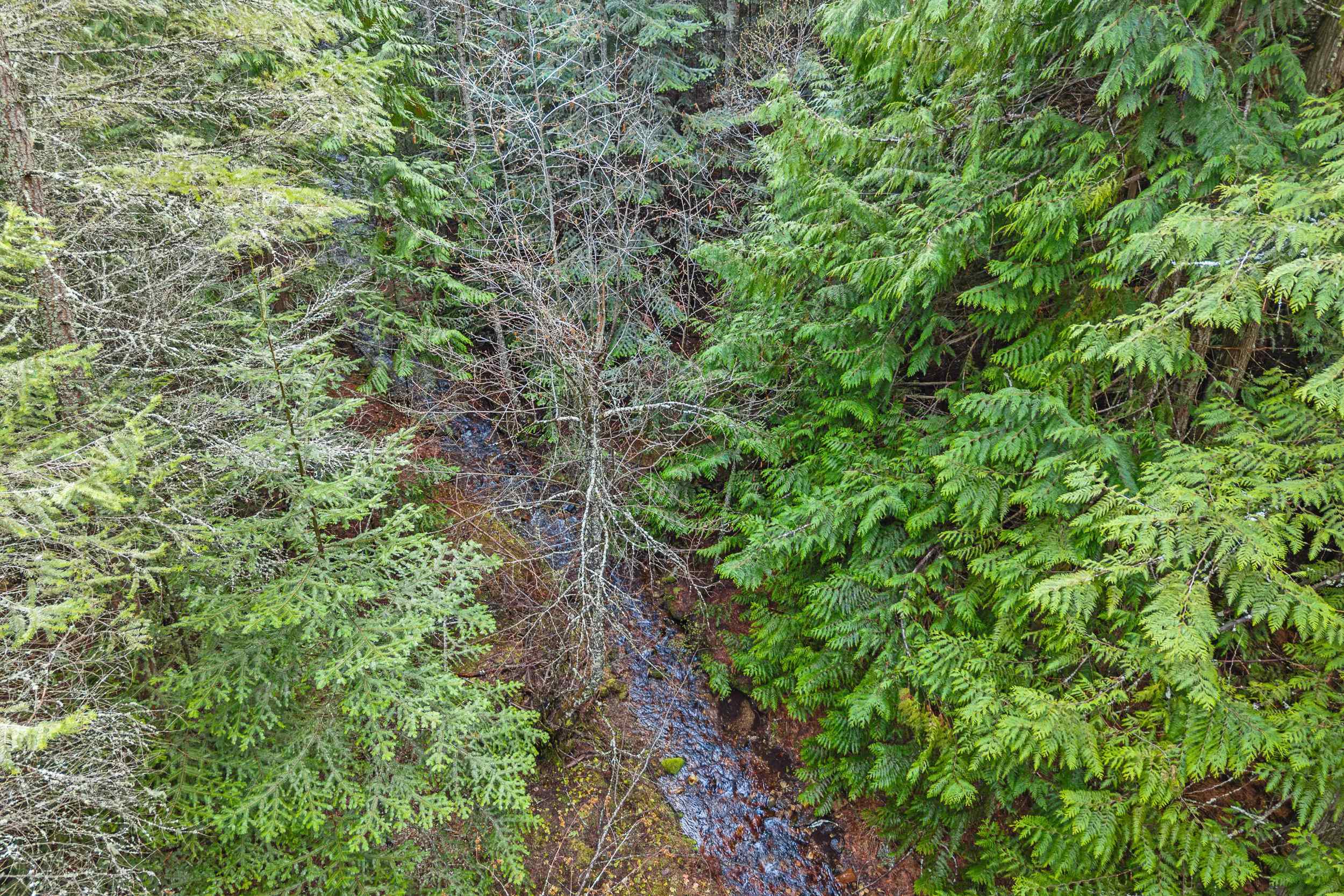 988 Orin Rice Rd - Photo 15