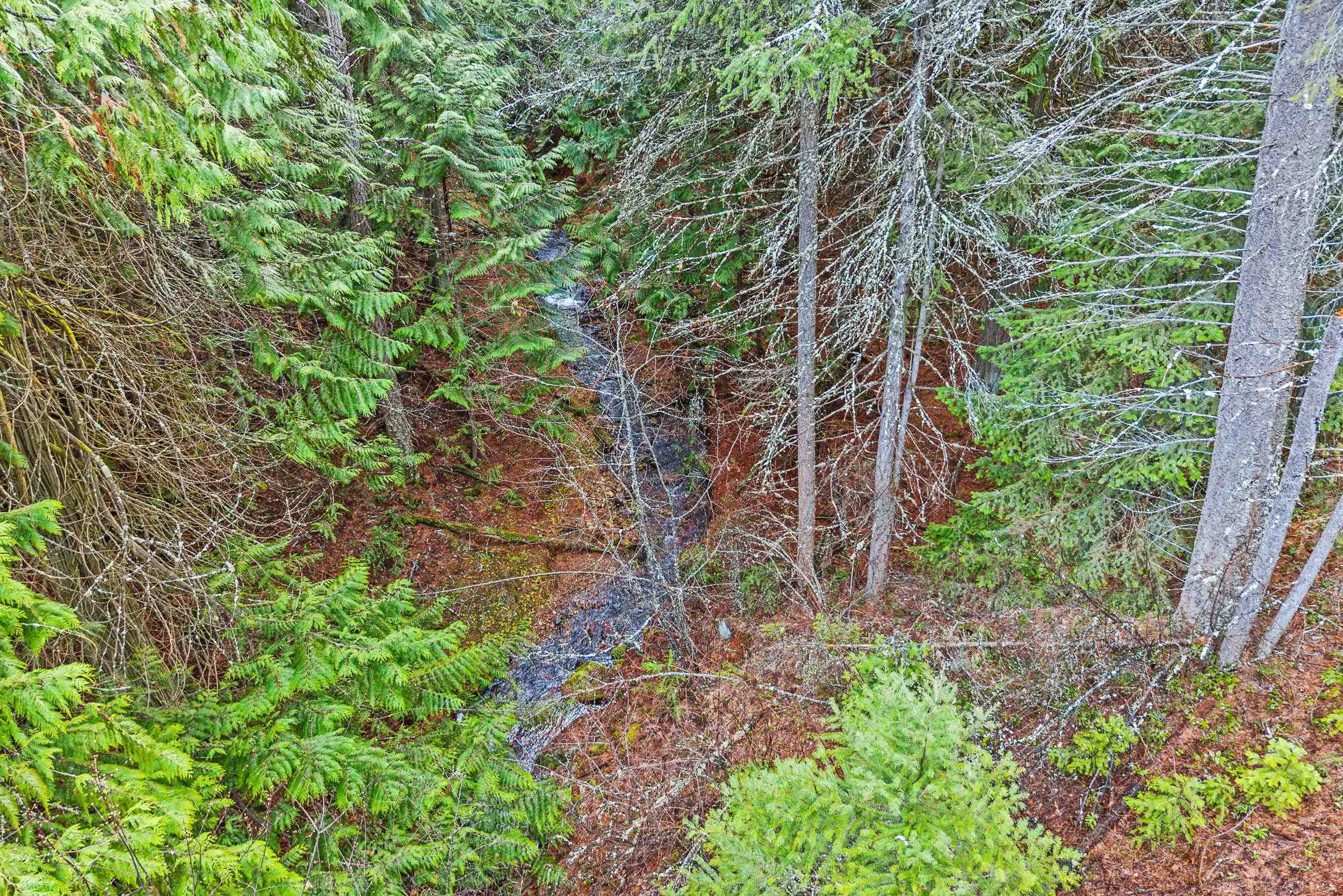988 Orin Rice Rd - Photo 16