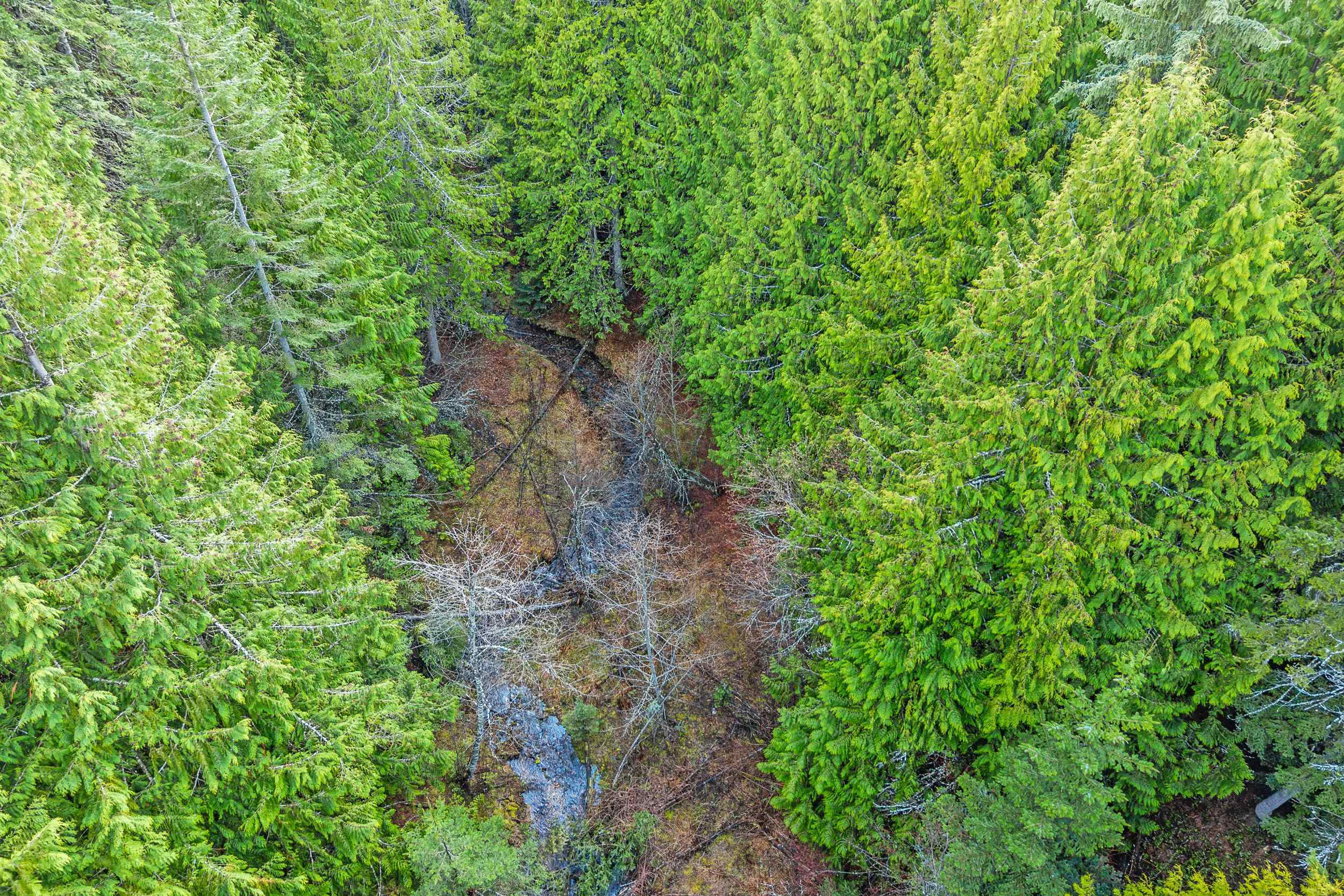 988 Orin Rice Rd - Photo 17