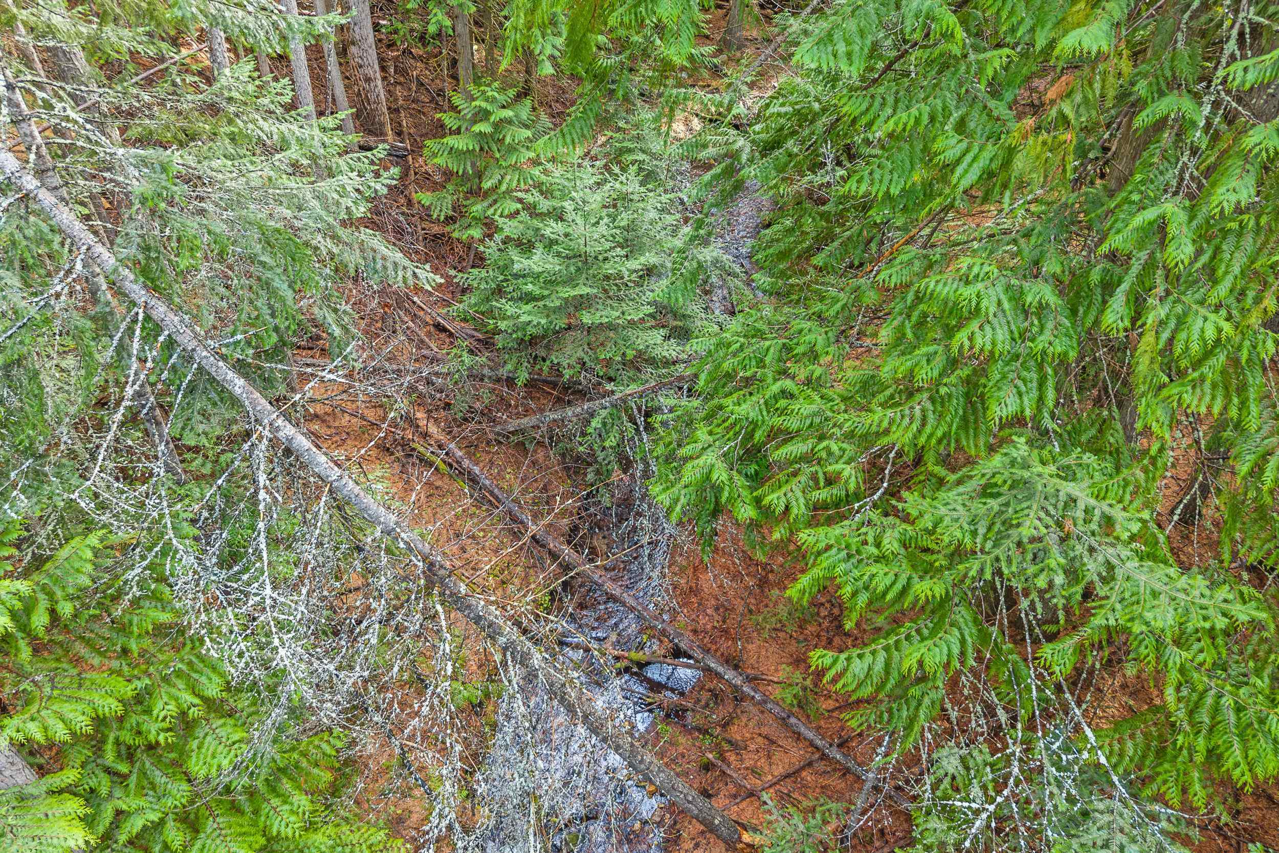 988 Orin Rice Rd - Photo 18