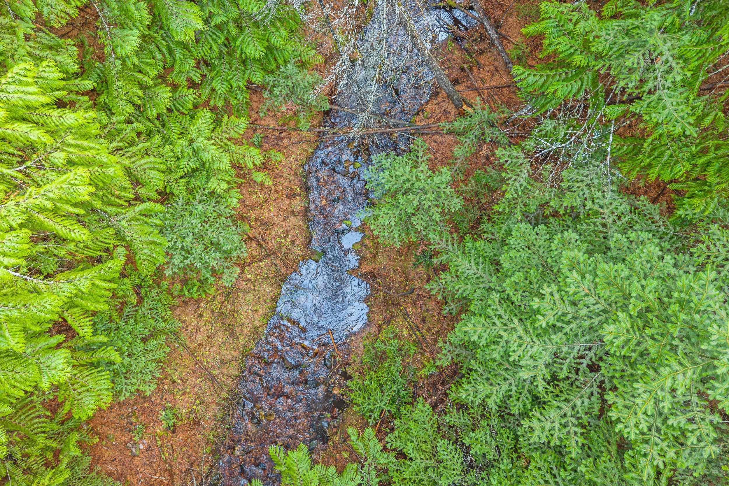 988 Orin Rice Rd - Photo 19