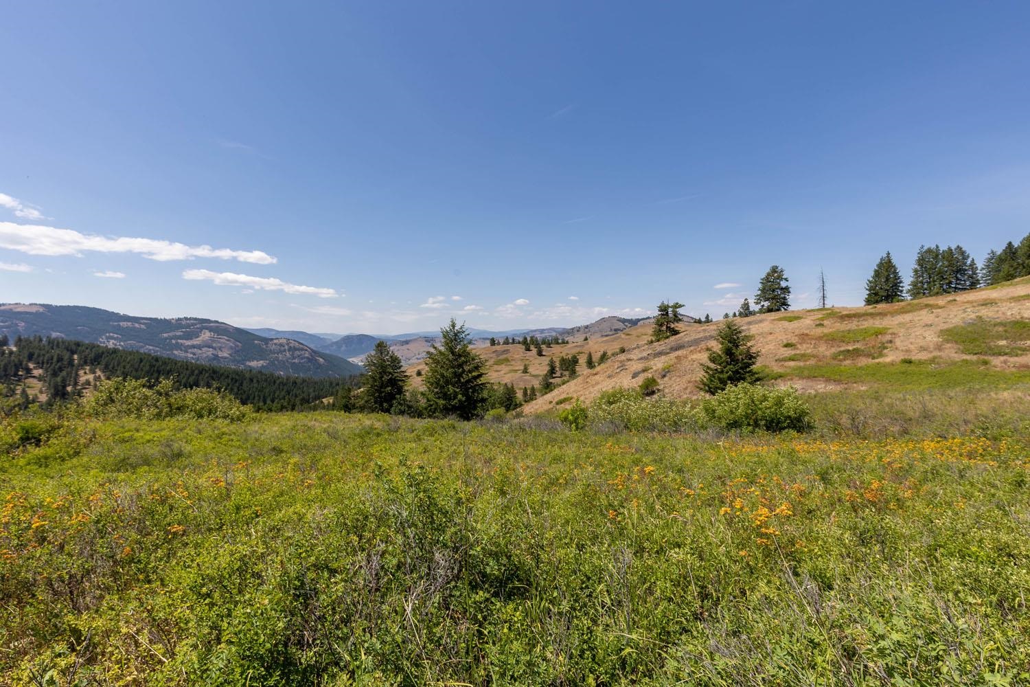 253 White Mountain Rd - Photo 37