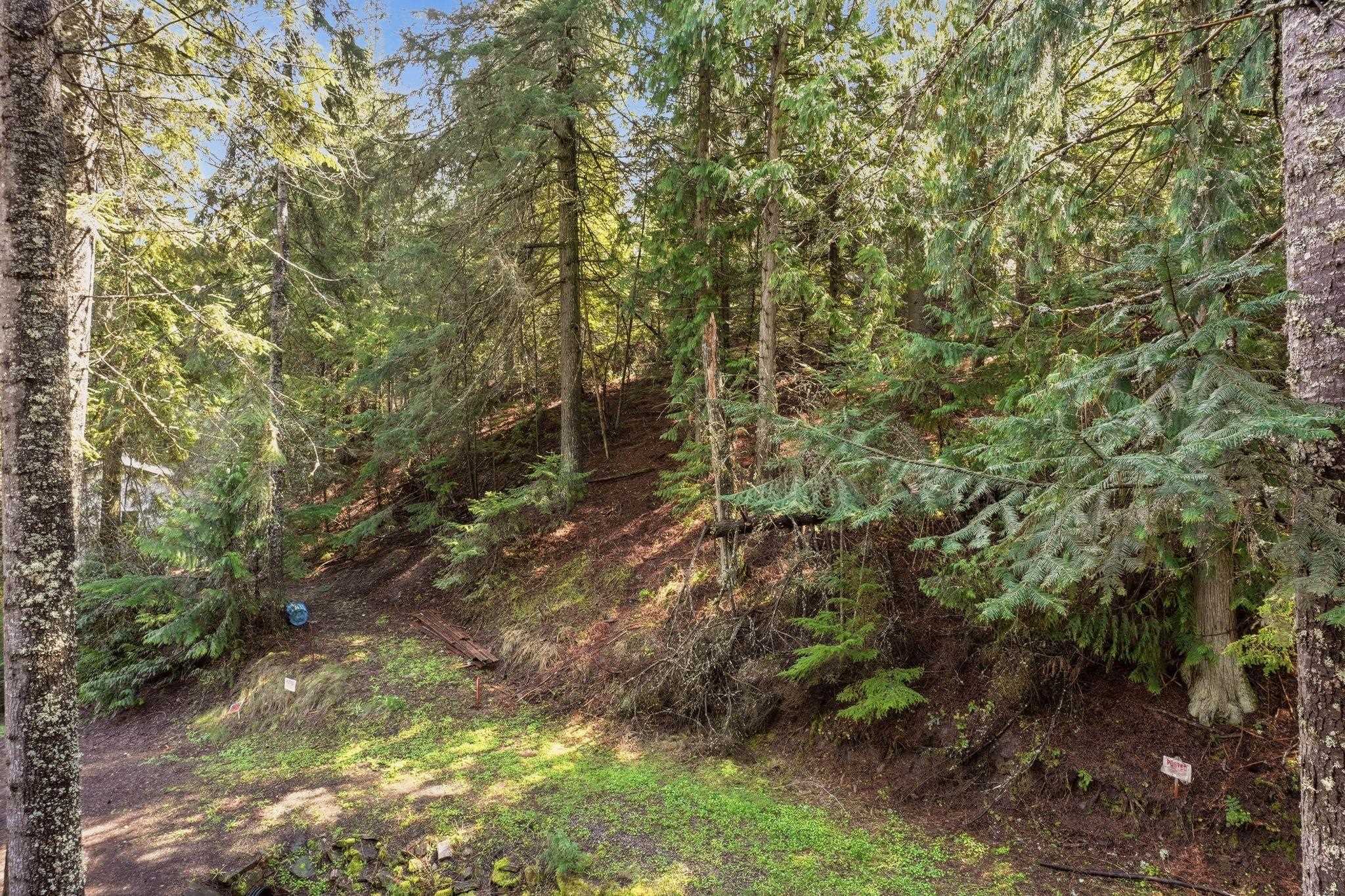 11823 N Honeymoon Bay Rd - Photo 24