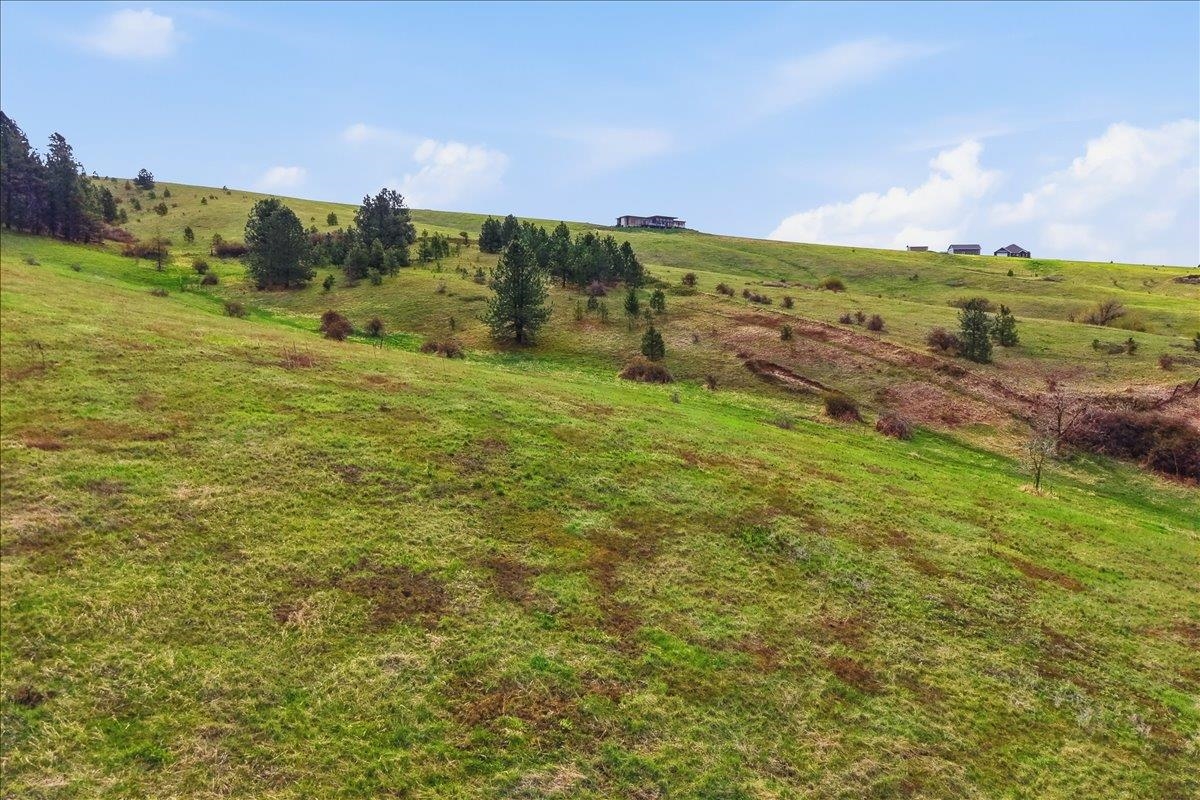 10017 S Stevens Creek Rd - Photo 30