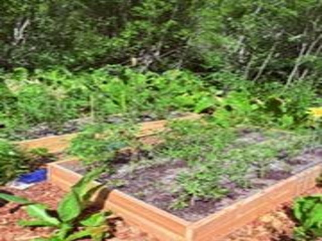 8657 Spring Valley Rd - Photo 18