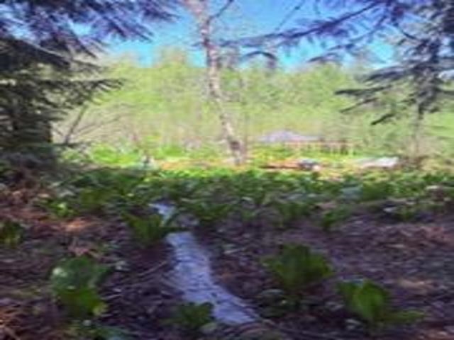 8657 Spring Valley Rd - Photo 19