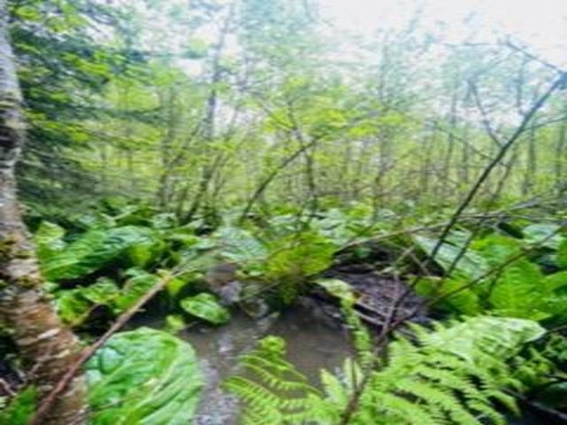 8657 Spring Valley Rd - Photo 26