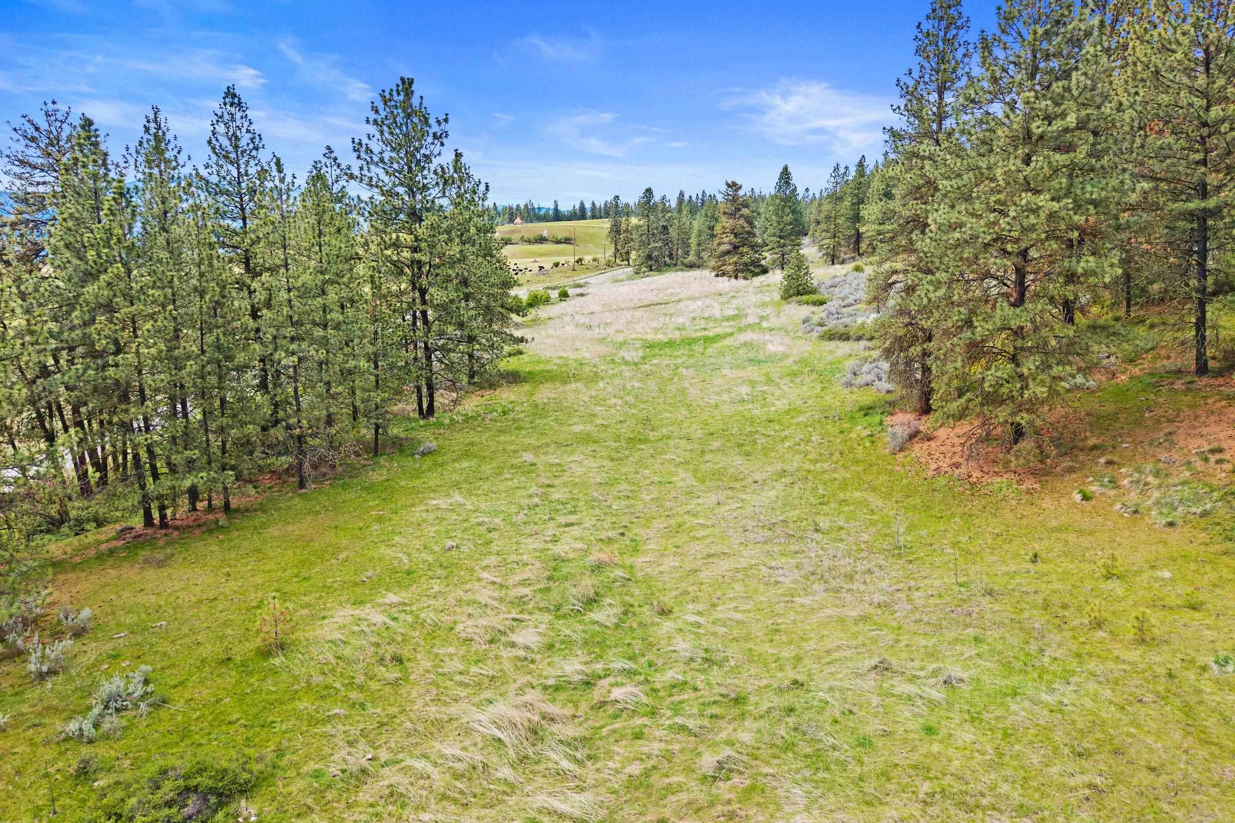 NKA Goddard Rd - Photo 9