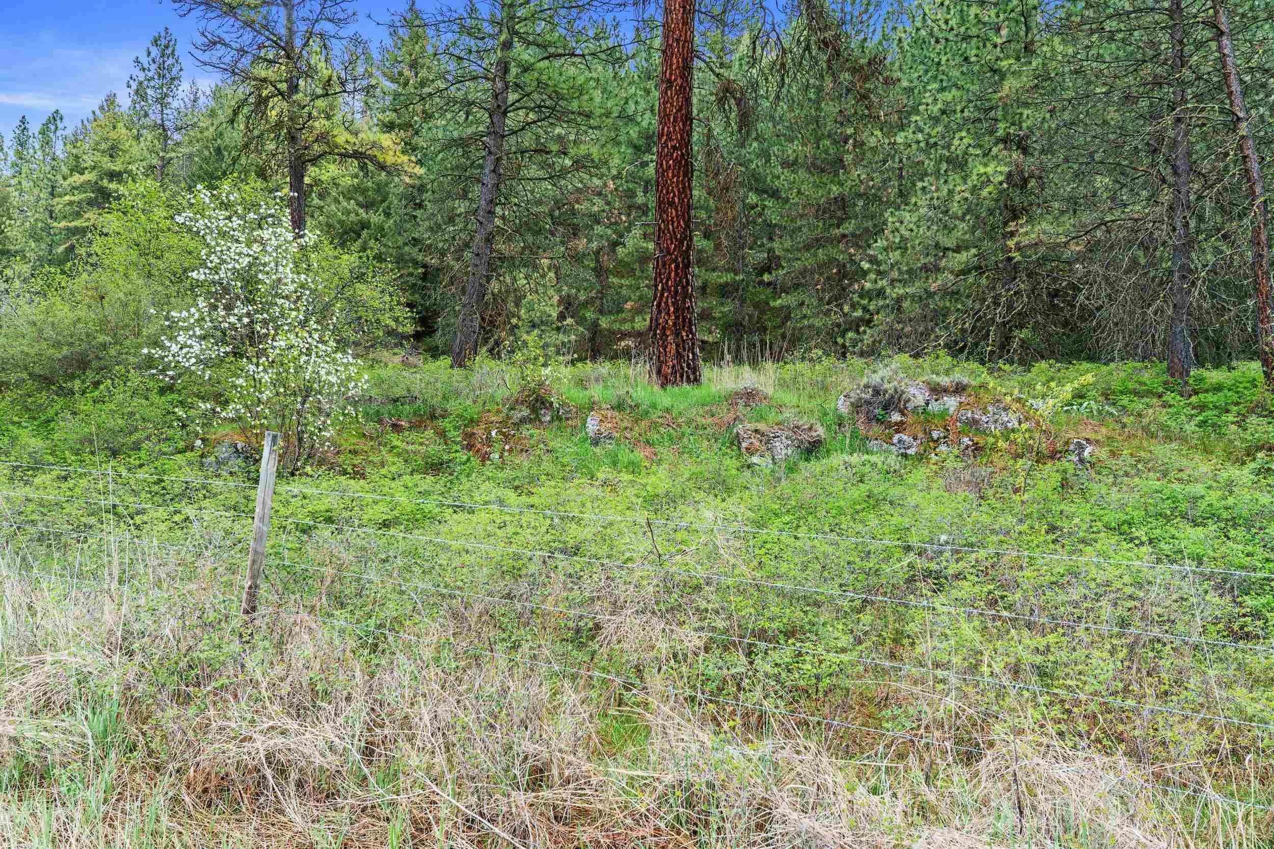 NKA Goddard Rd - Photo 15